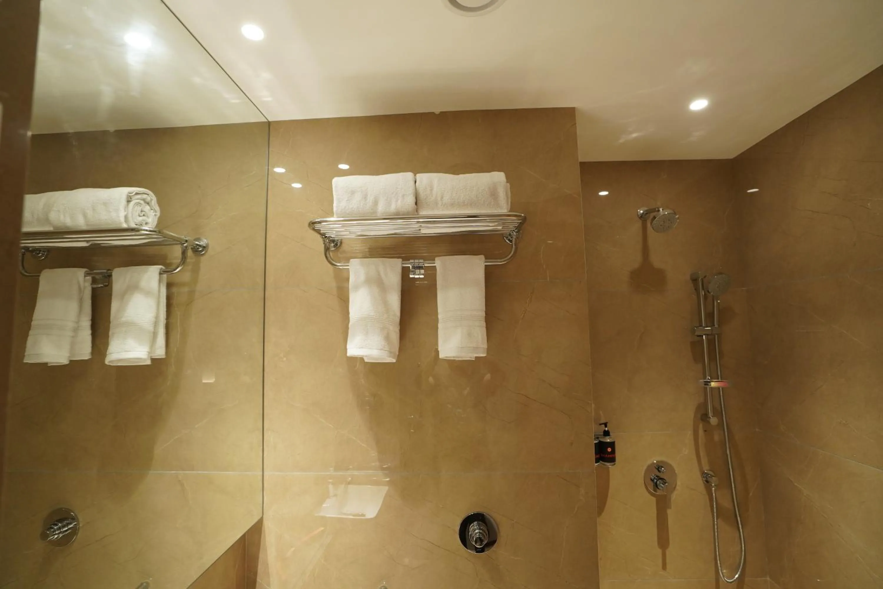 Shower in Ginger Mumbai, Goregaon