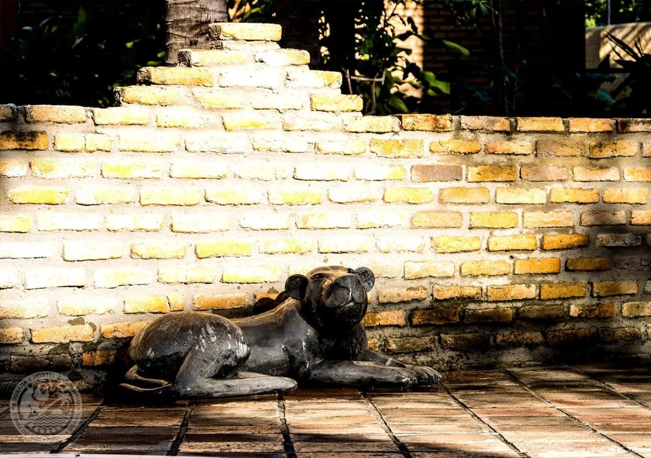 Property building in Pousada Cacimbinha - ePipa Hotéis