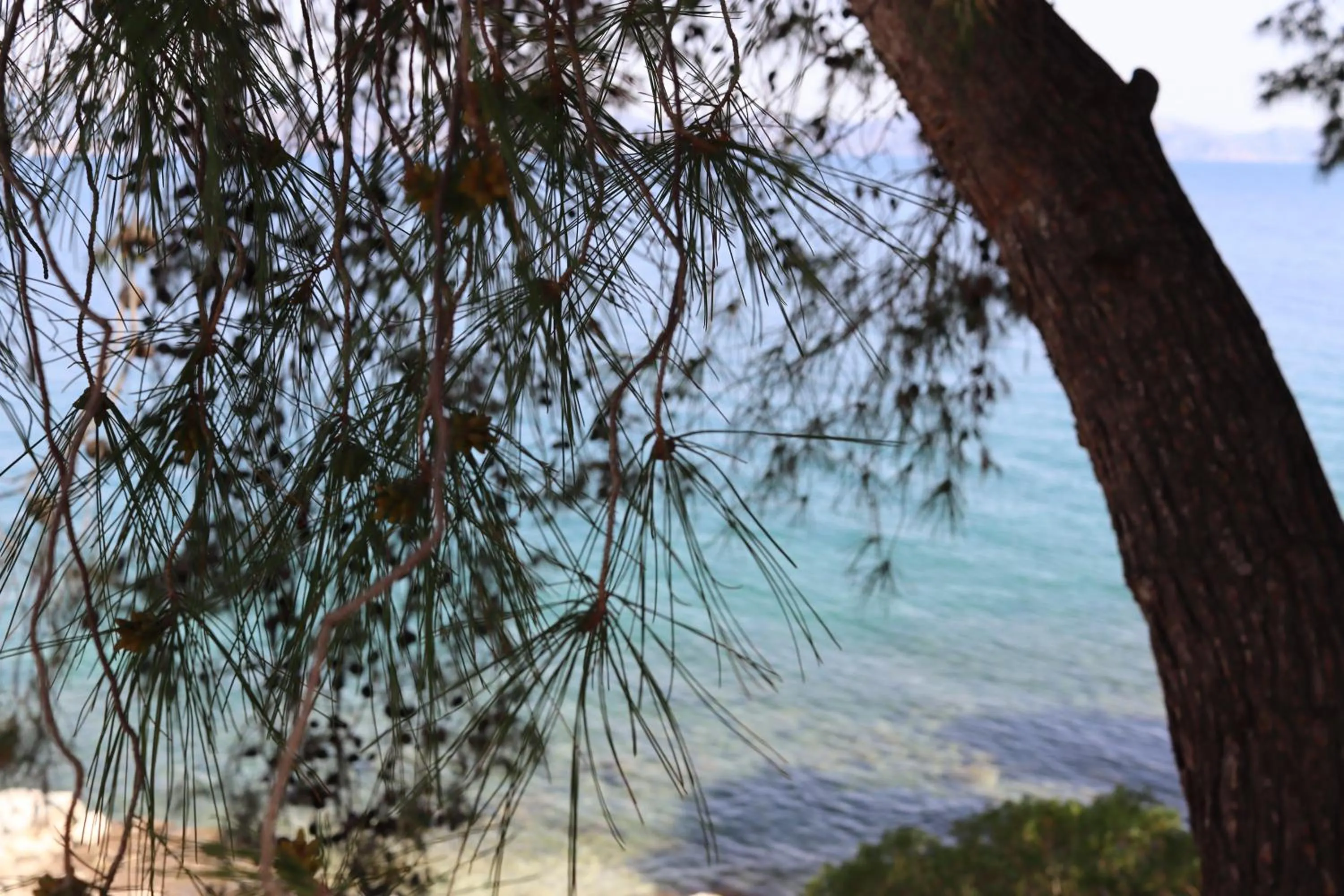 Natural landscape in Anavalos