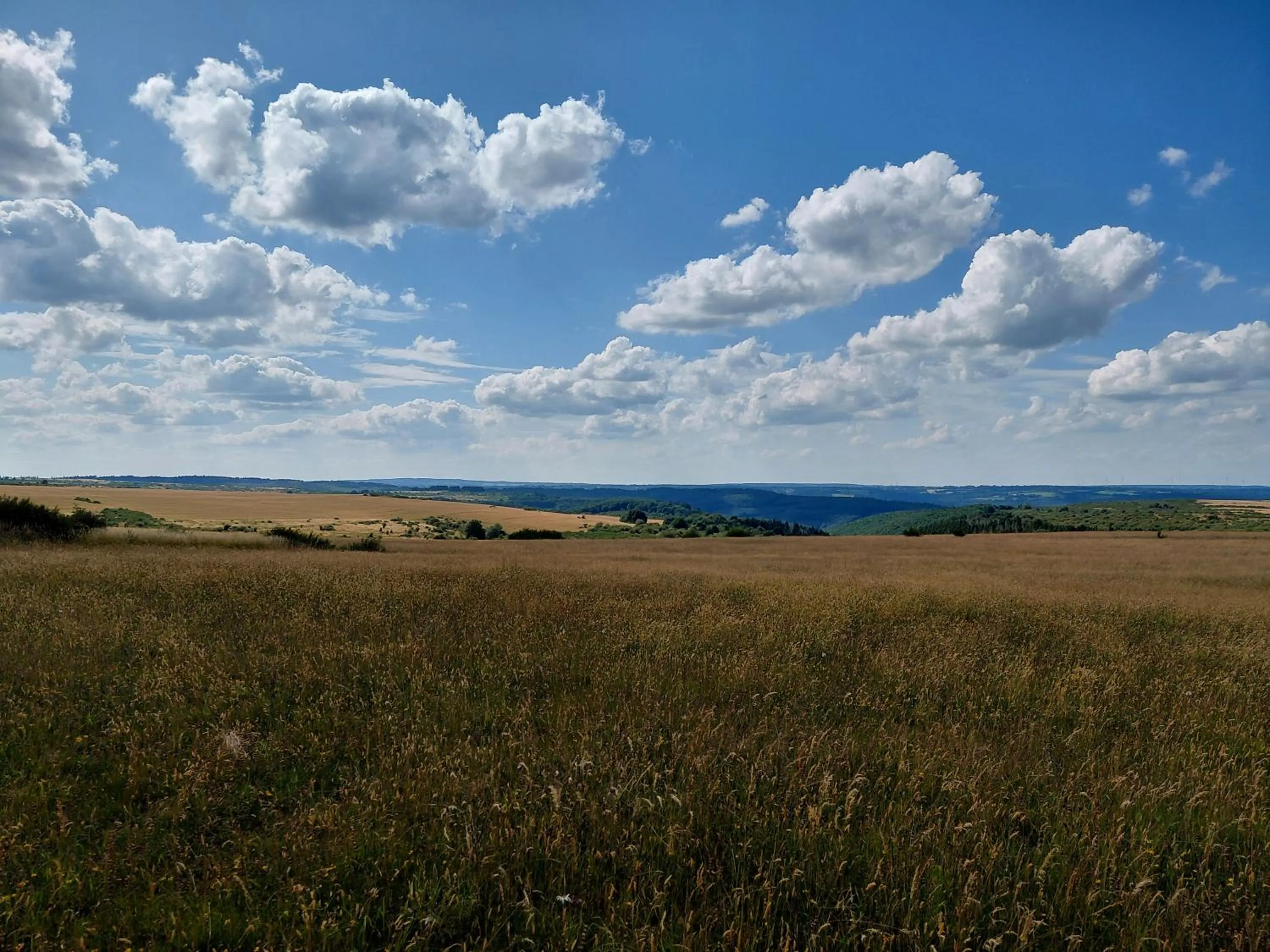 Area and facilities in DER Hirsch Hotel