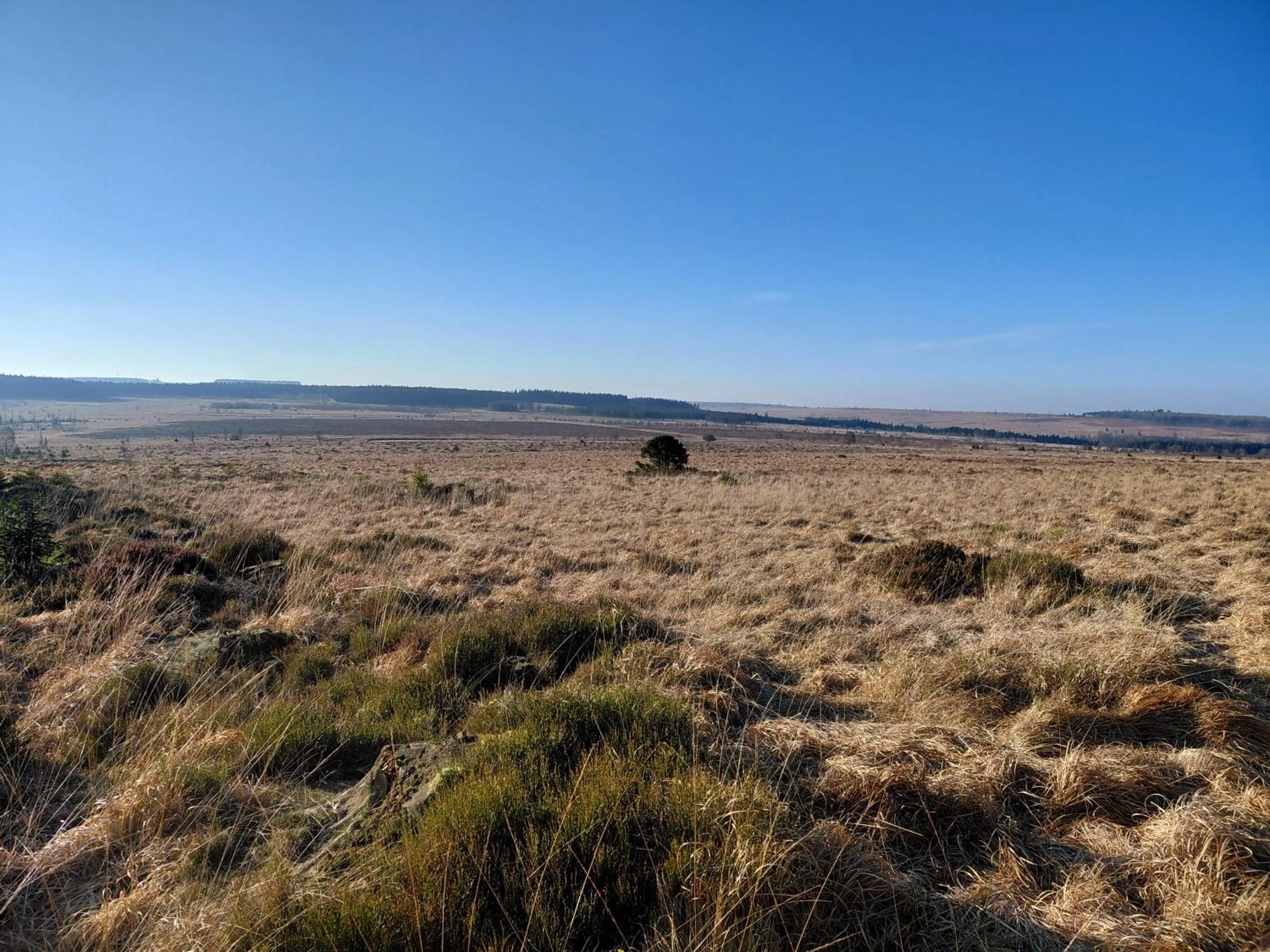 Day in DER Hirsch Hotel