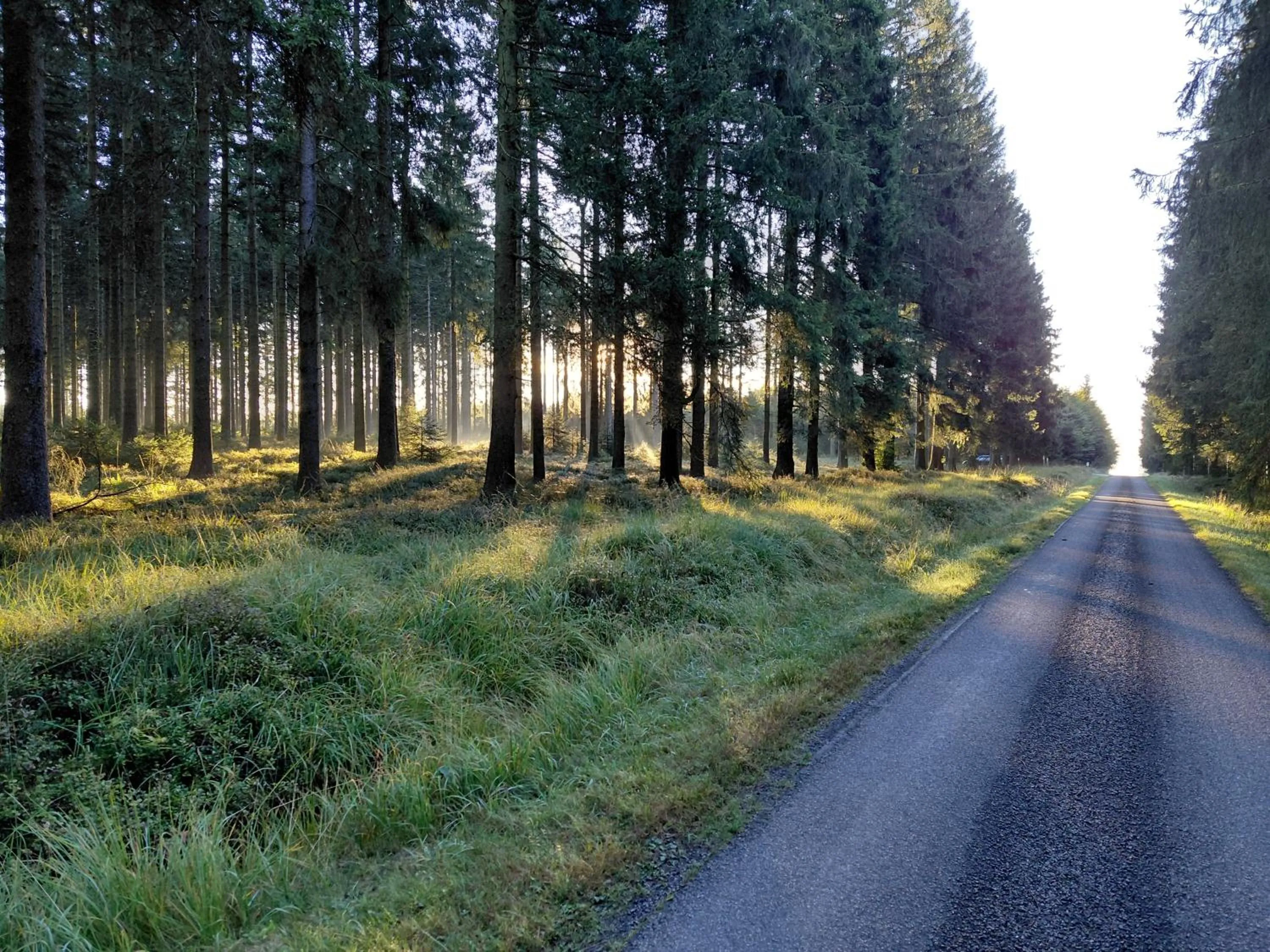 Off site in DER Hirsch Hotel