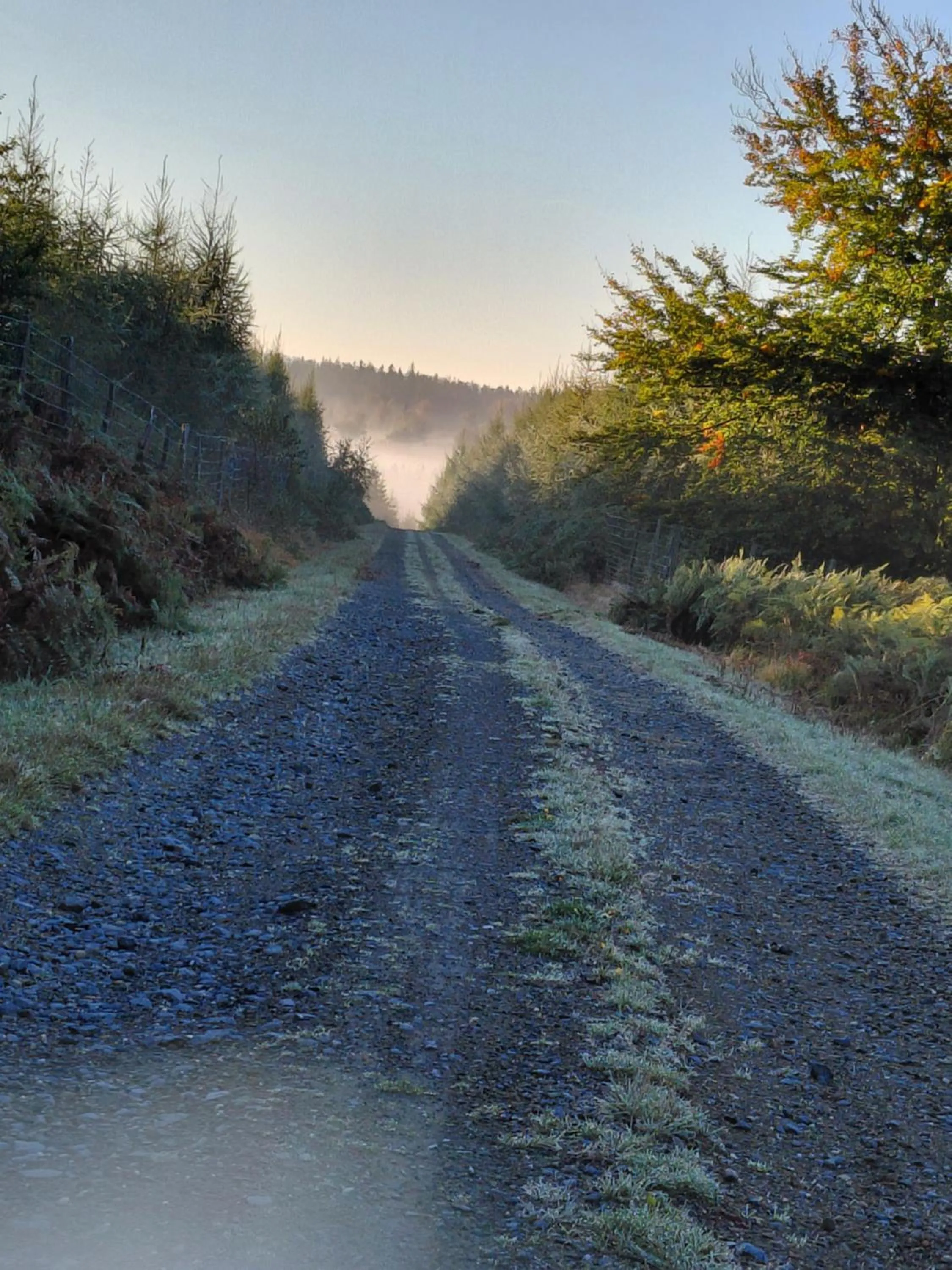 Hiking in DER Hirsch Hotel