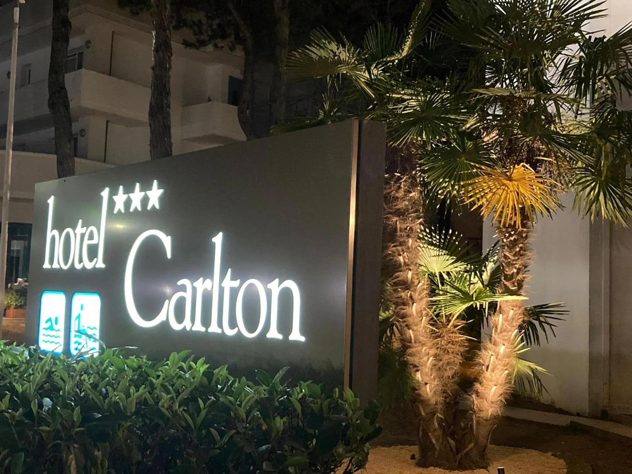 Hotel Carlton