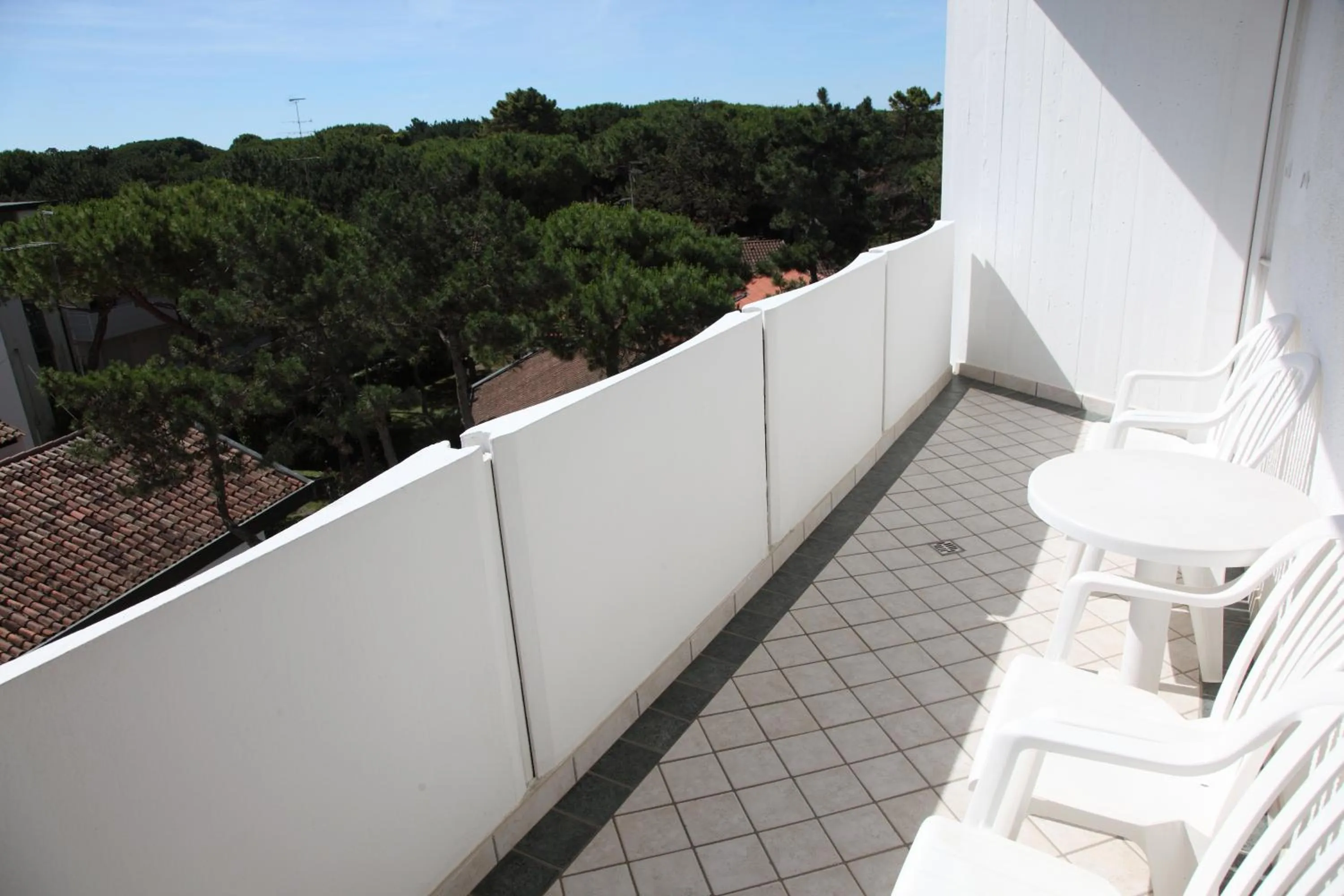 Balcony/Terrace in Hotel Carlton