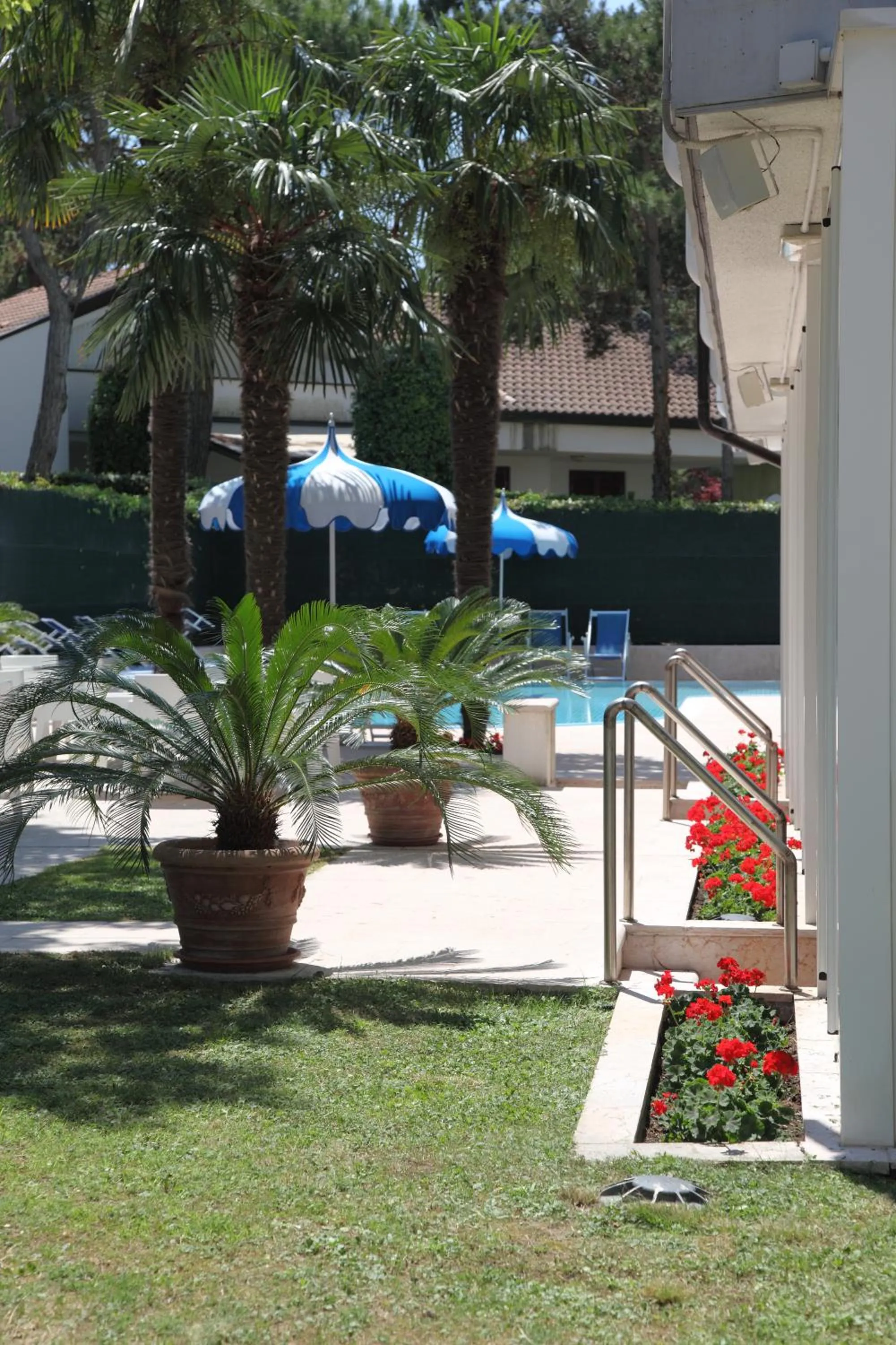 Garden view in Hotel Carlton