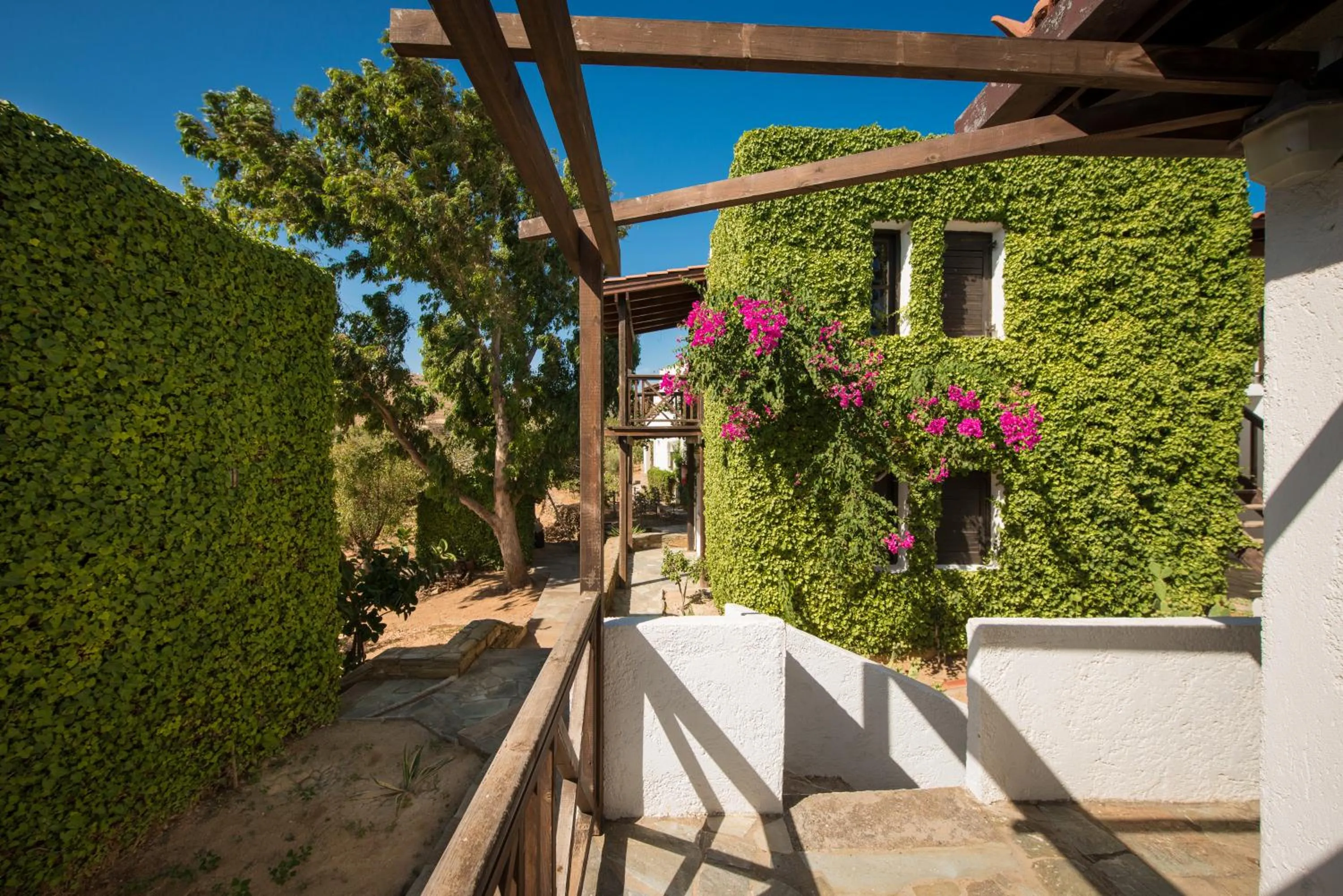 Property building in Ambelos