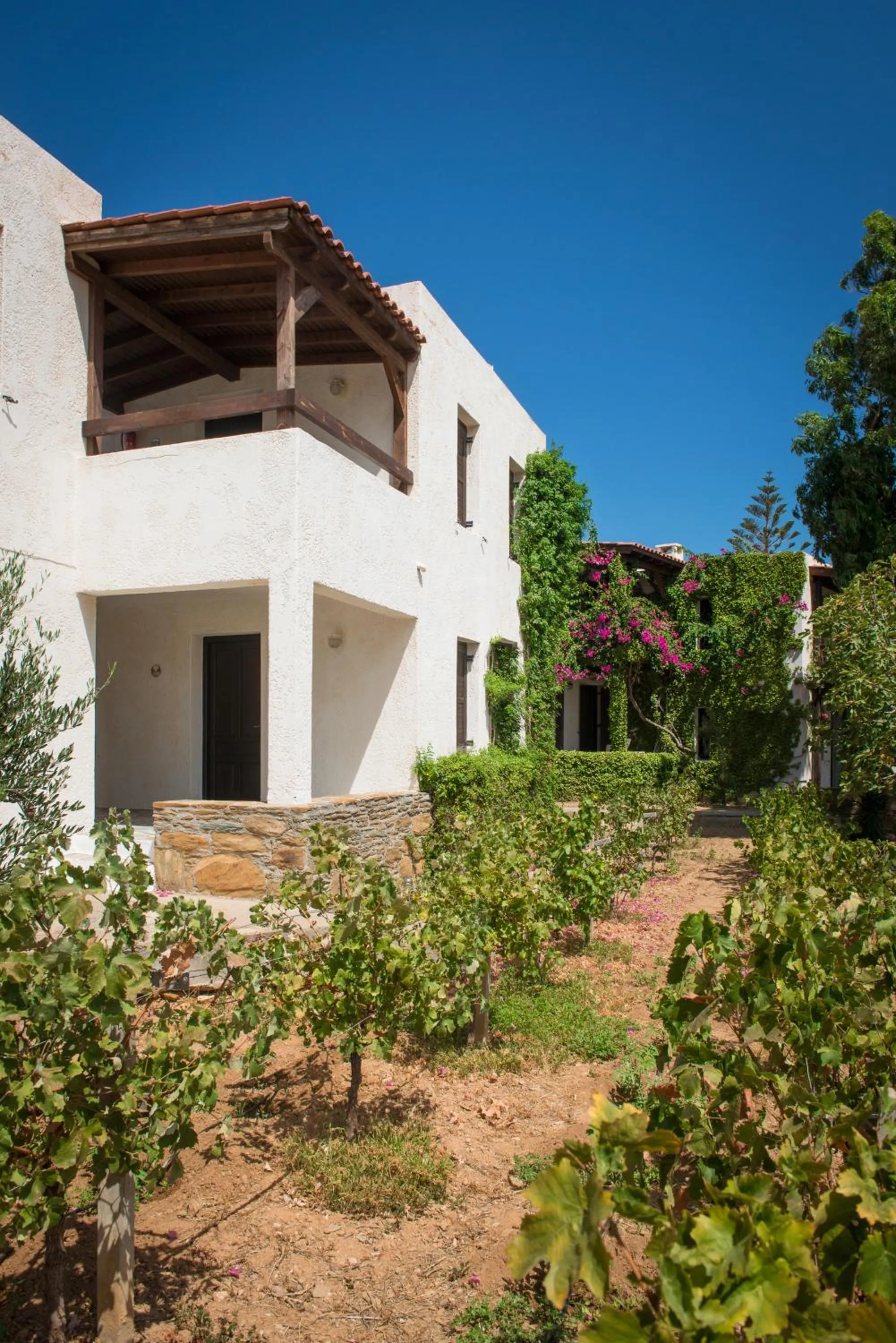 Property building in Ambelos