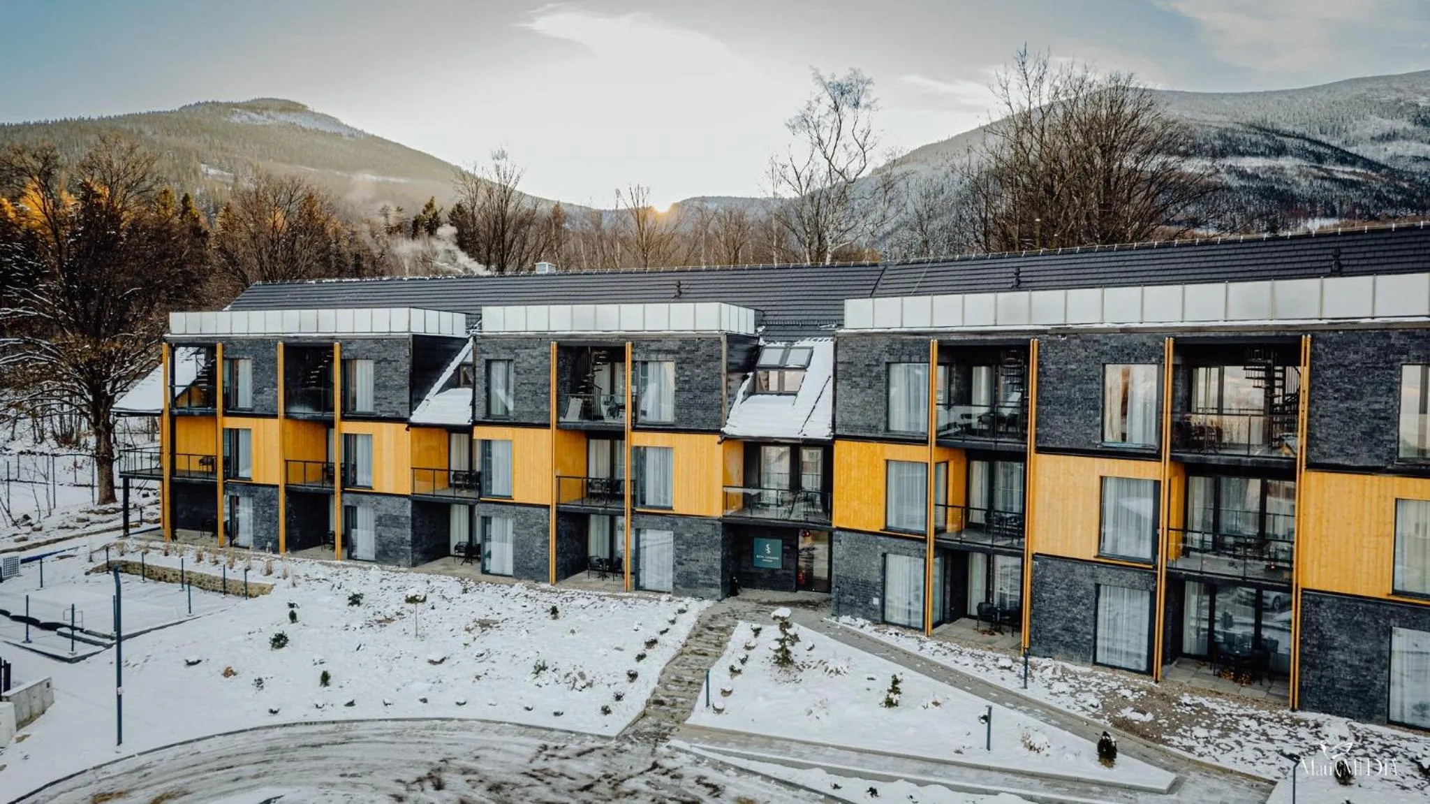 Property building in Green Adults