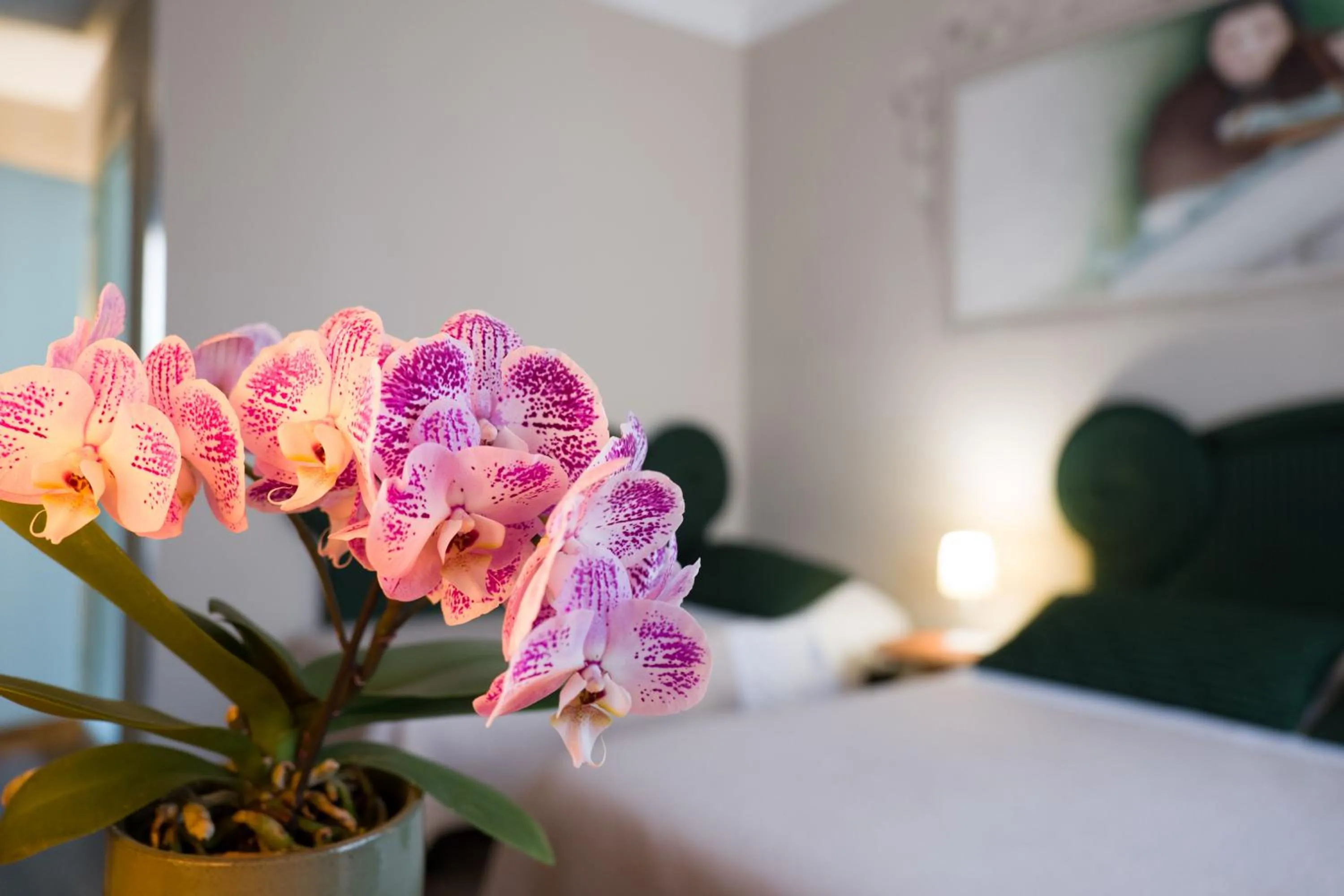 Bed in Hotel La Gradisca