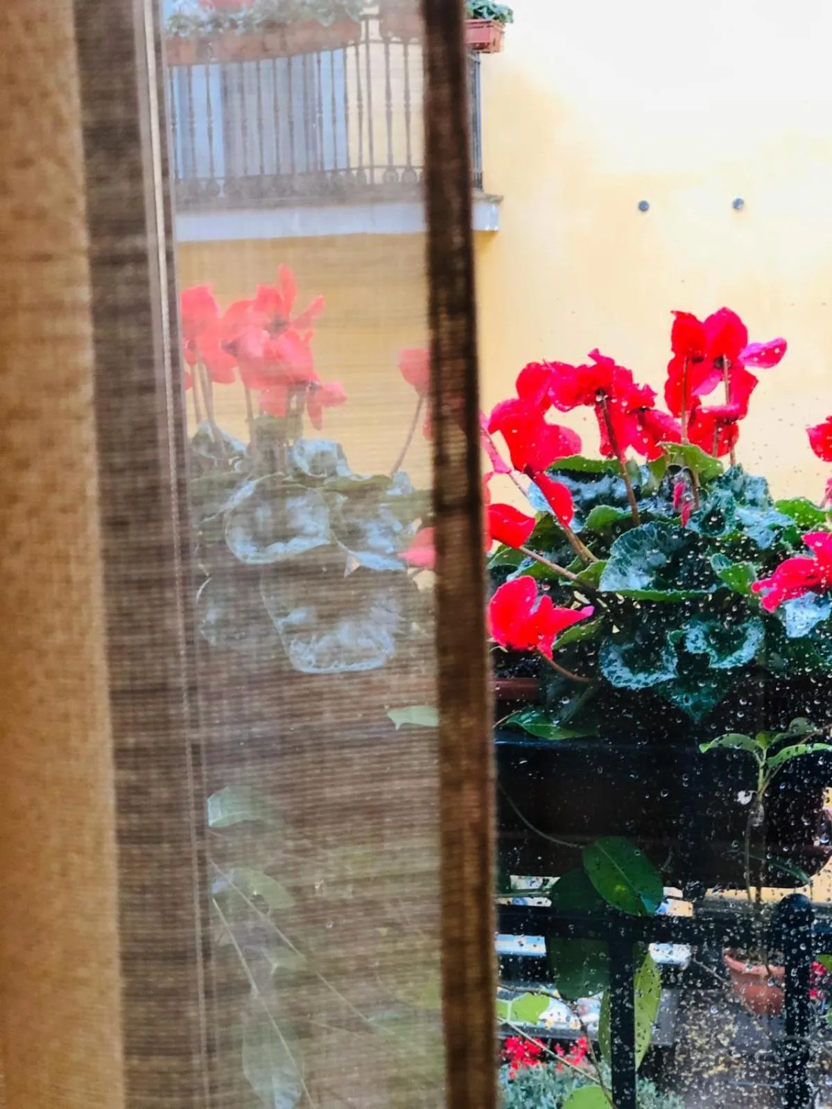 Balcony/Terrace in Le Cheminée Business Hotel Napoli