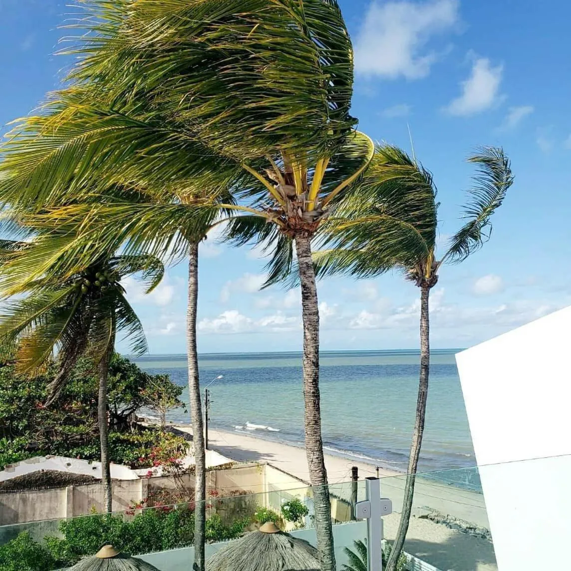 View (from property/room) in Maria Farinha Residence / Prince - LocarHouse