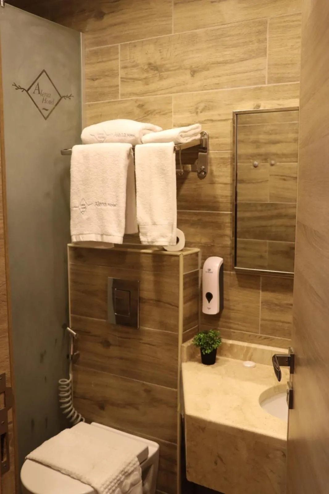 Bathroom in ALENA HOTEL