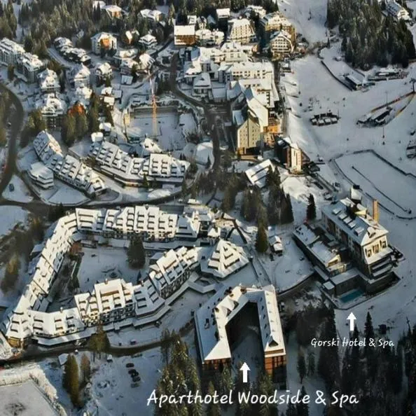 Mountain view in Aparthotel Woodside by Anaya