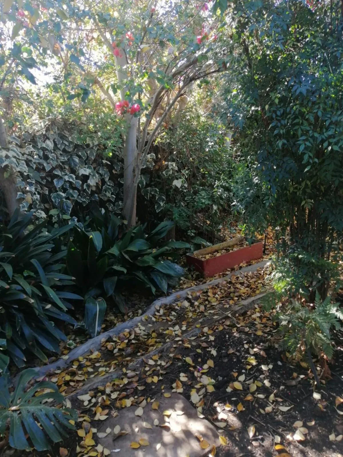 Die Tuis Huis Selfcatering NO LOADSHEDDING