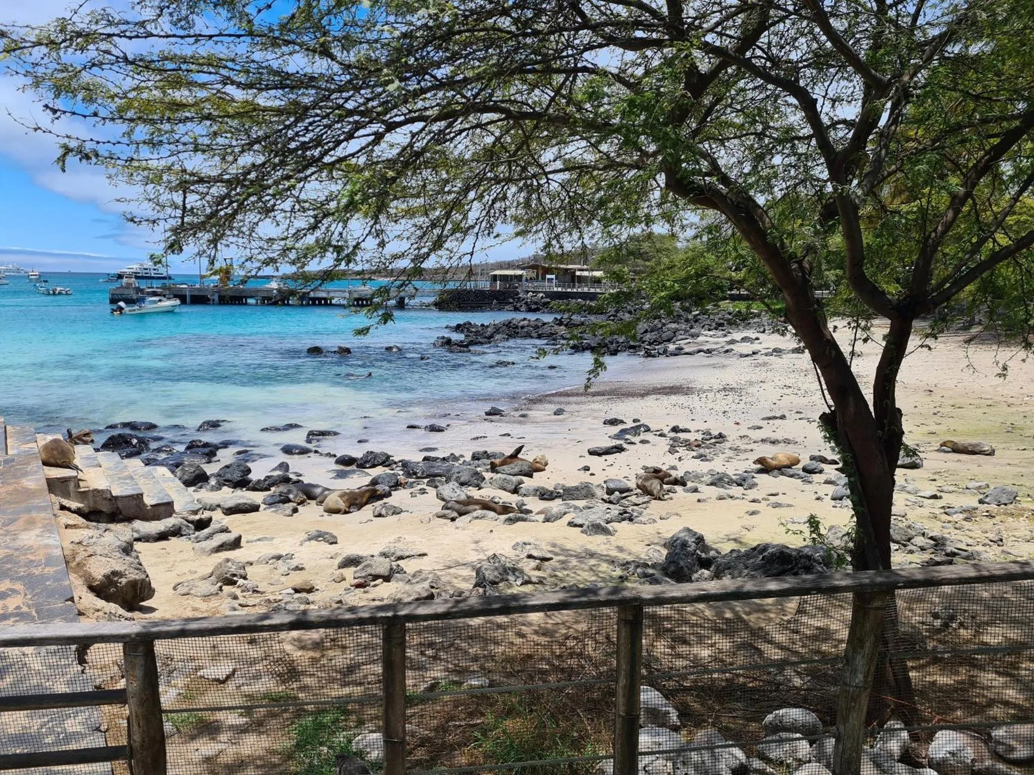 Nearby landmark in Hotel Indigo - Galapagos by IHG