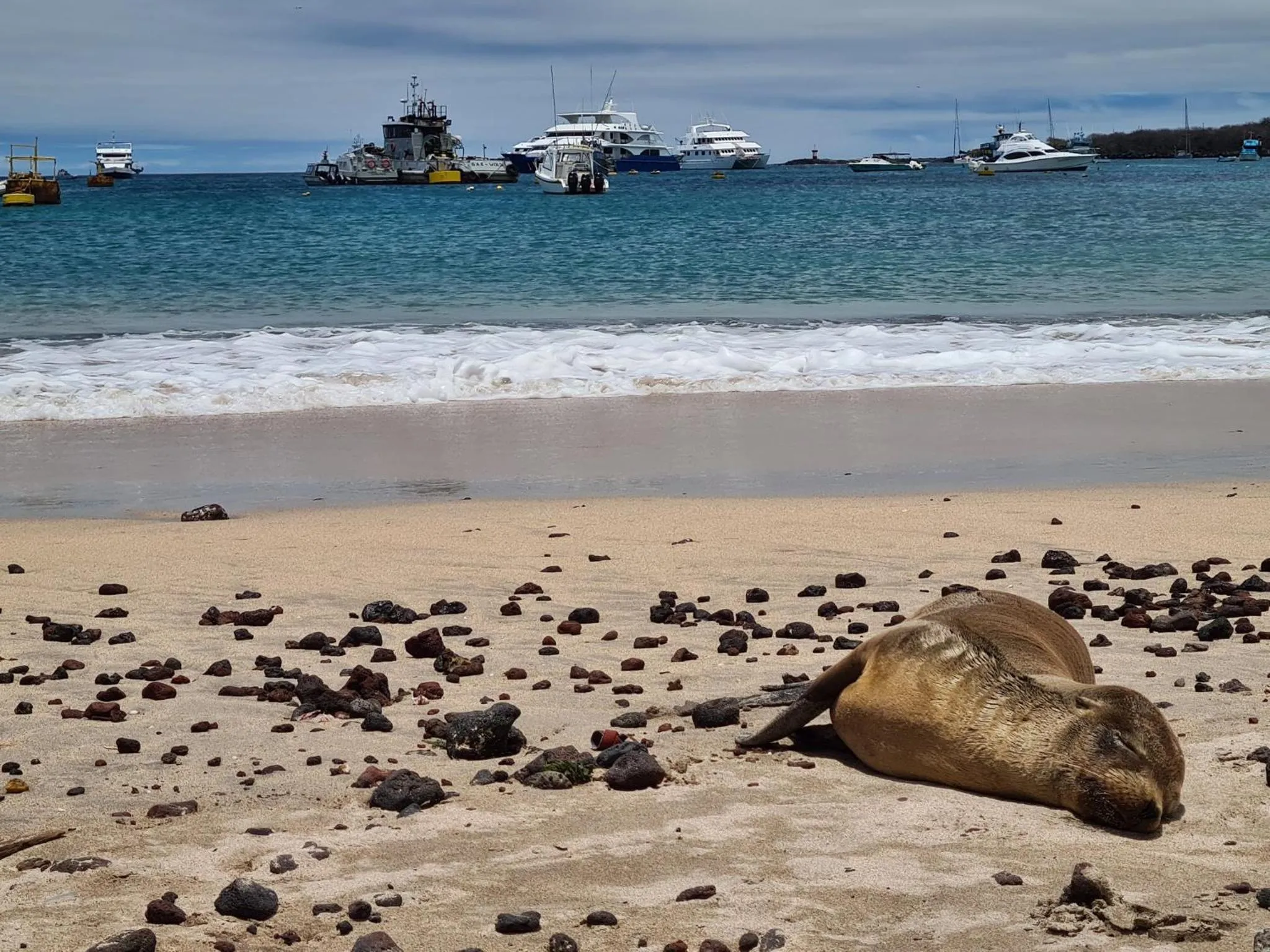 Nearby landmark in Hotel Indigo - Galapagos by IHG