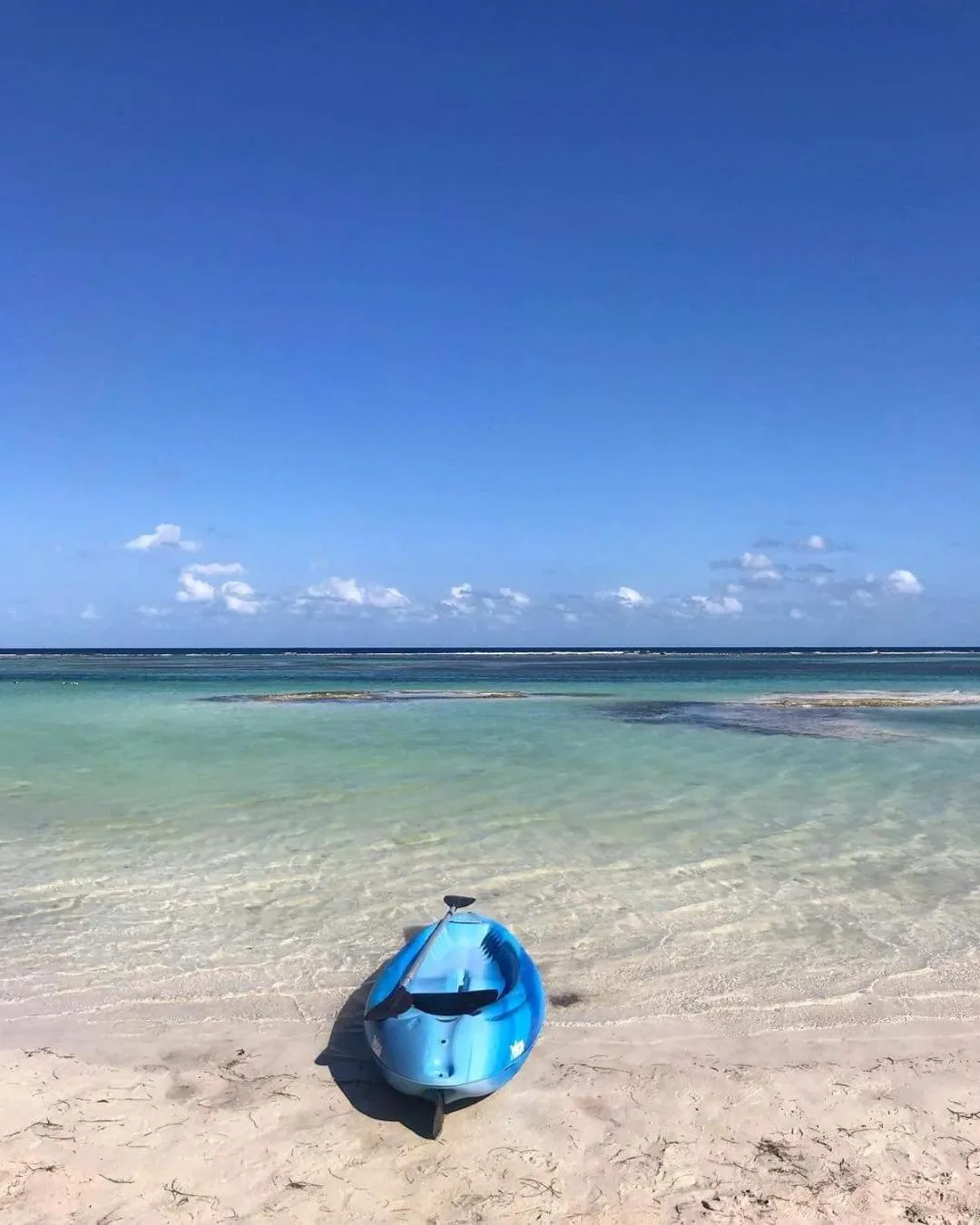 Hotel Jardin Mahahual