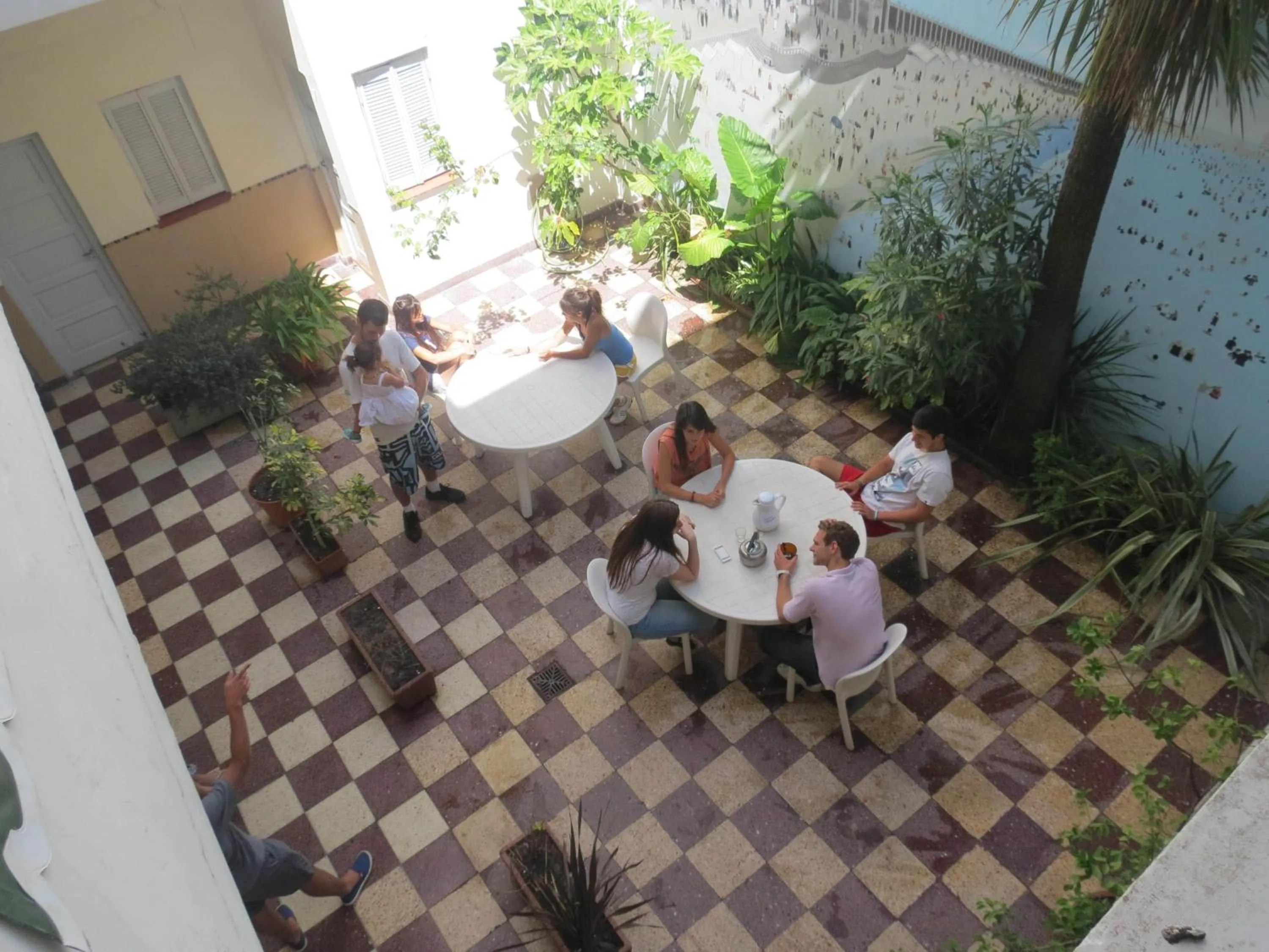 Garden in Hotel Raglan