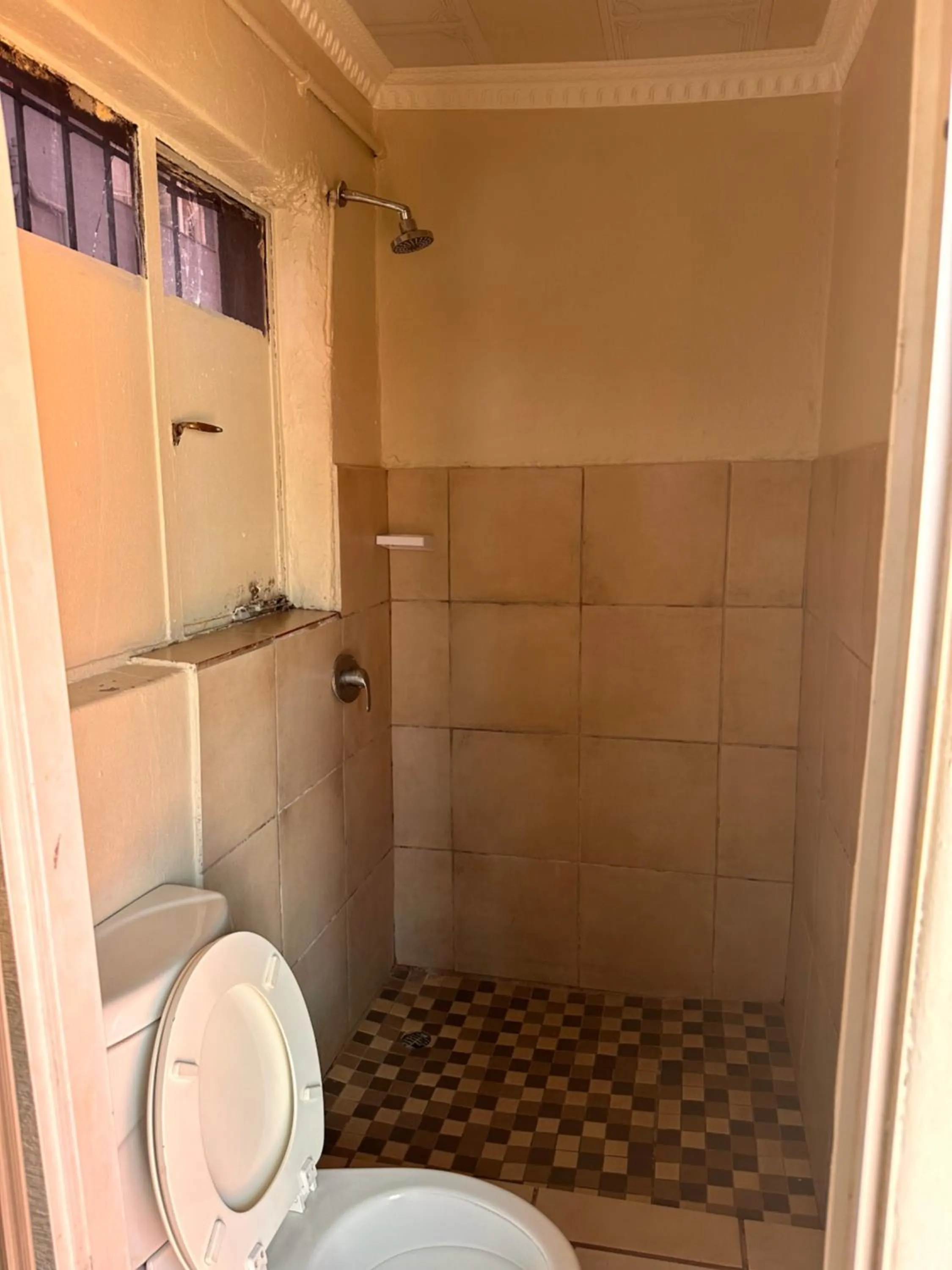 Shower in L-PACK PRIMROSe