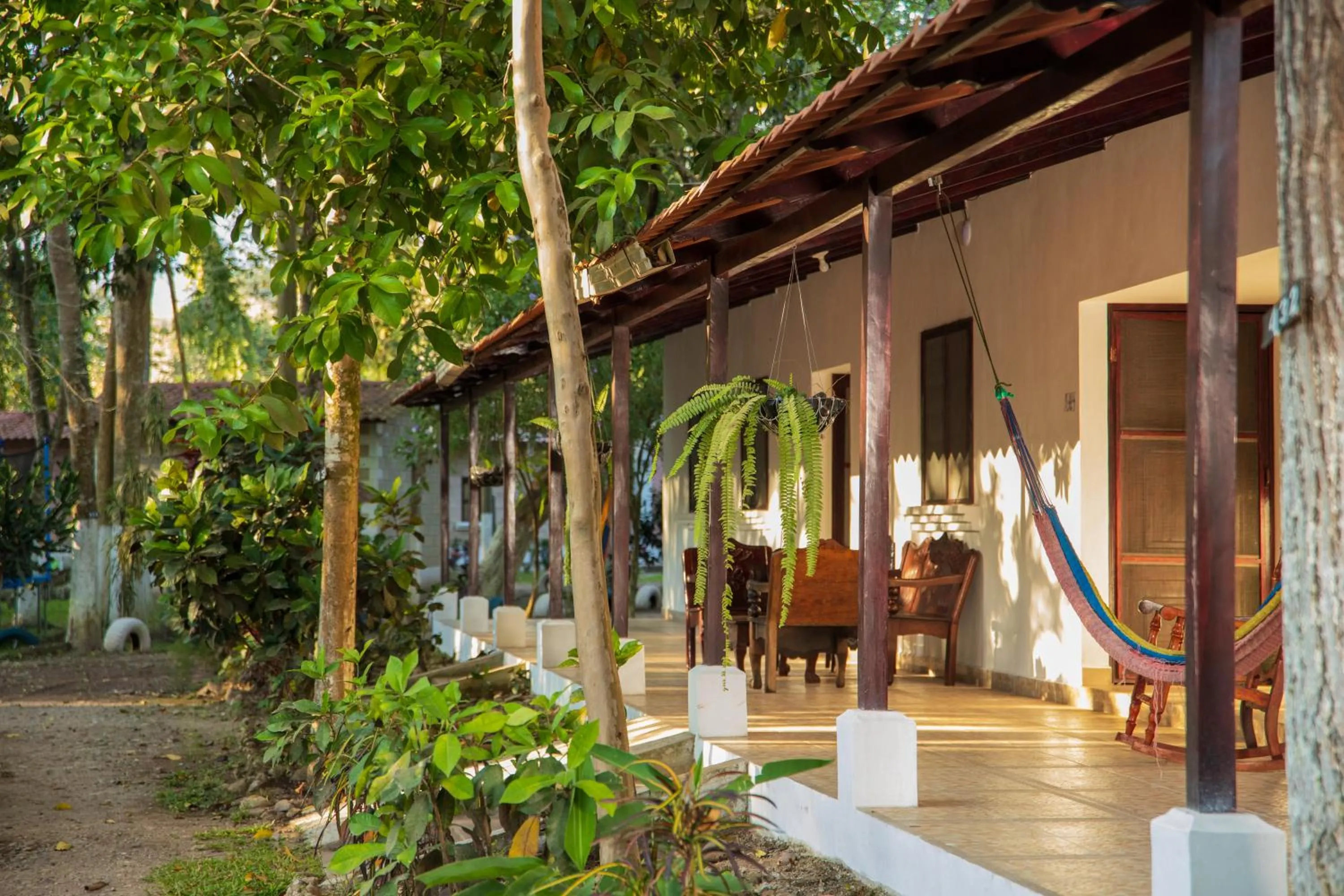 El Bosque Hotel