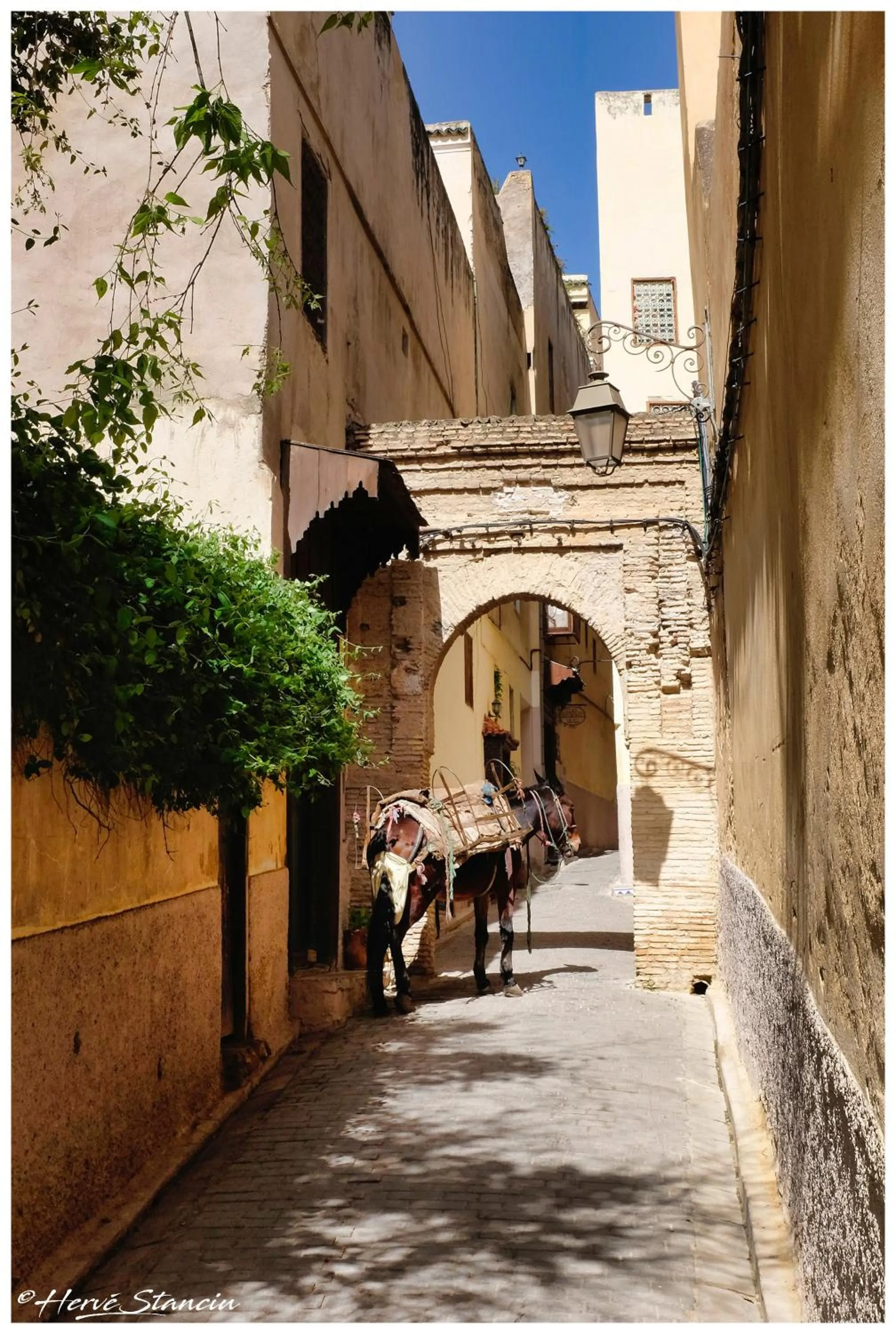 Neighbourhood in Riad Layalina Fes