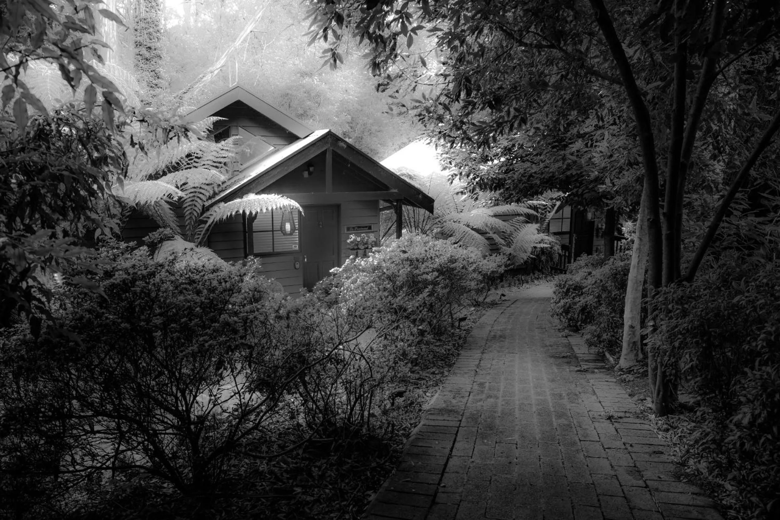 Property building in Belle Le Vie