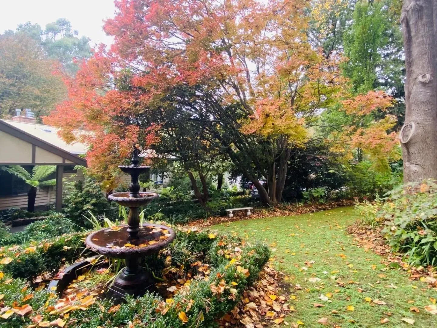 Garden in Belle Le Vie