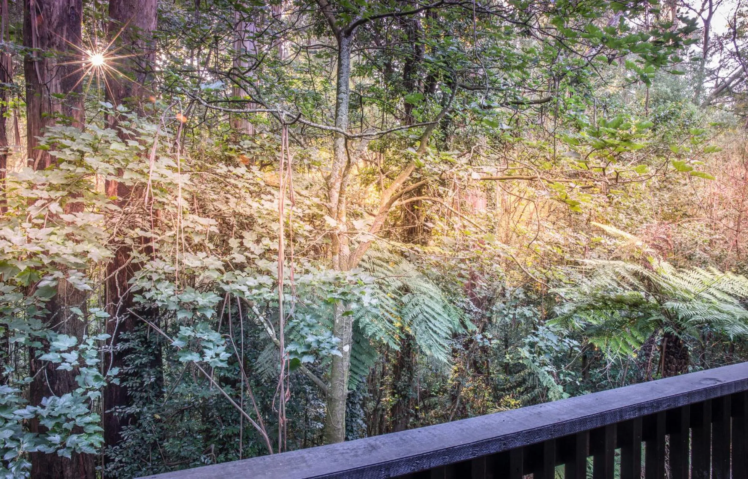 Garden in Belle Le Vie