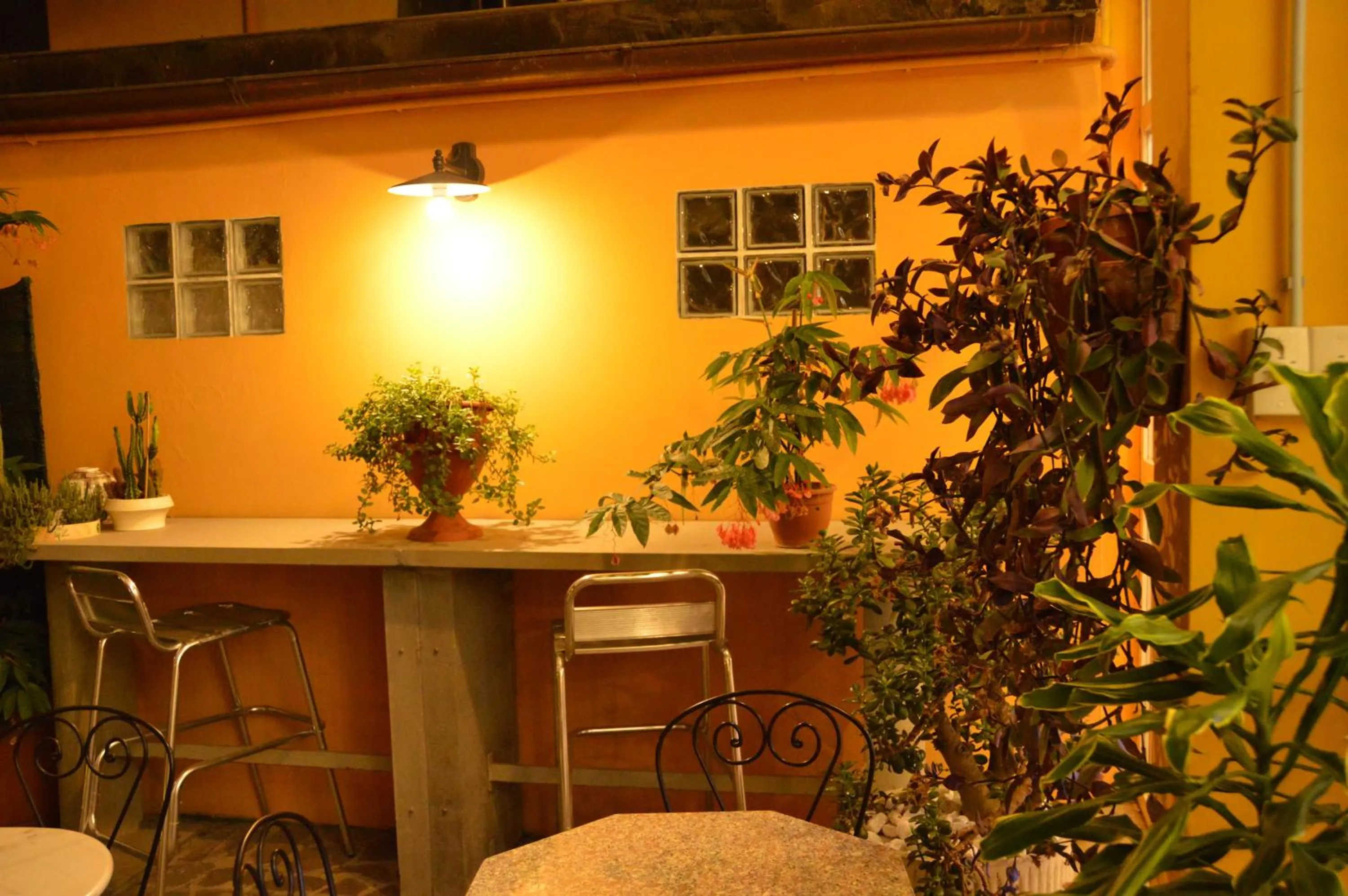 Lounge or bar in Hotel Genova