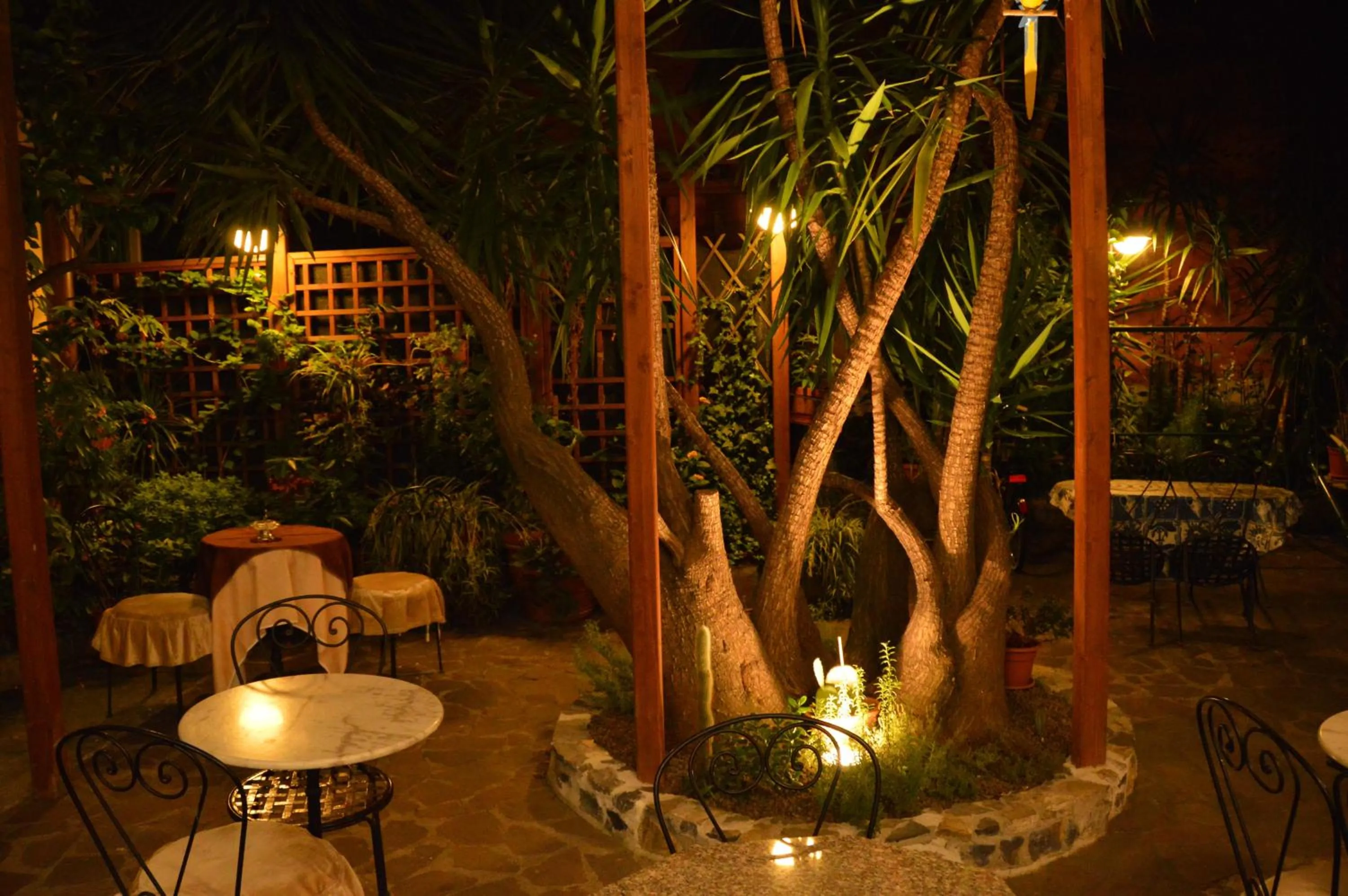 Garden in Hotel Genova