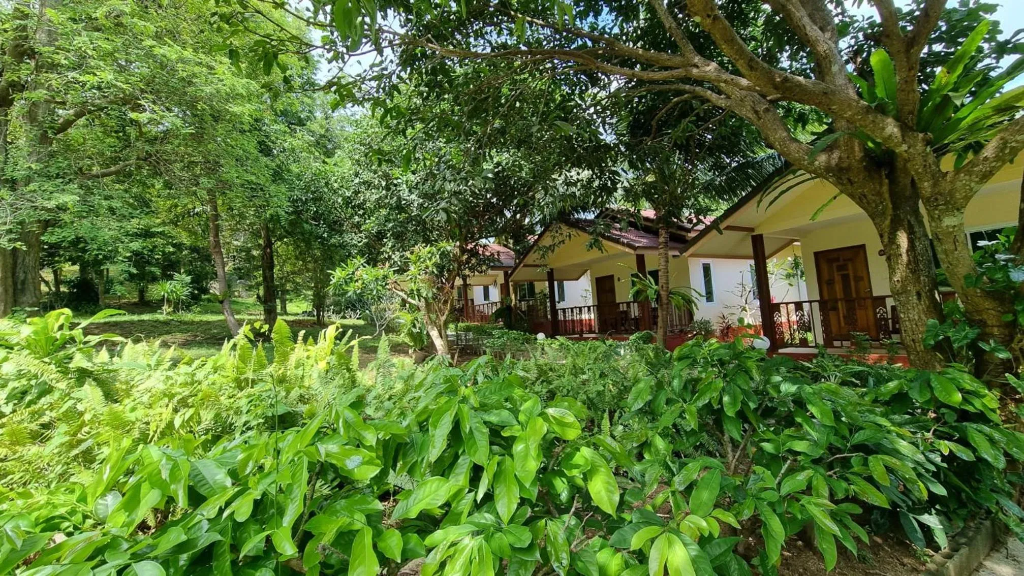 Garden view in PawPaw Resort