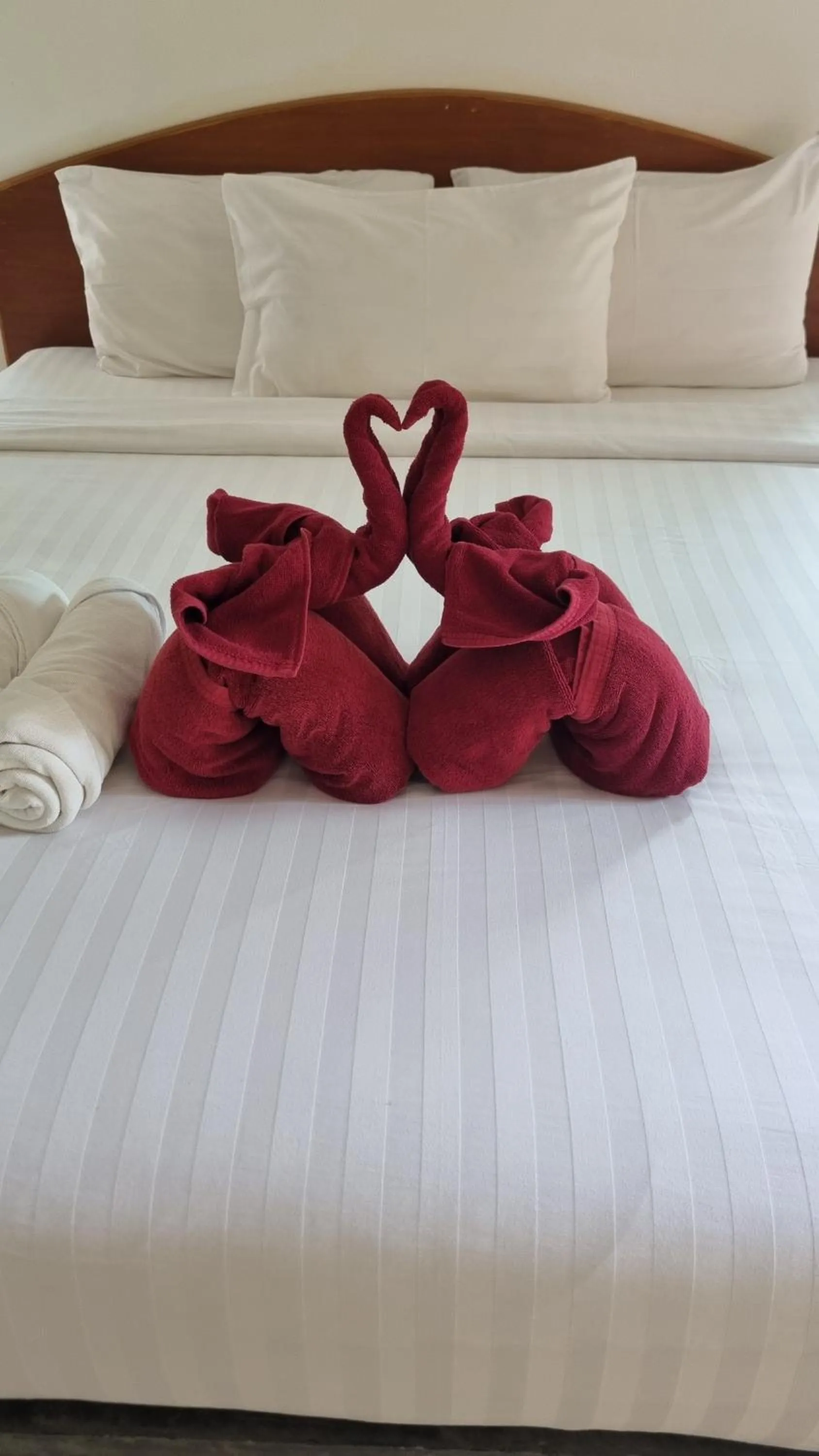 Bed in PawPaw Resort