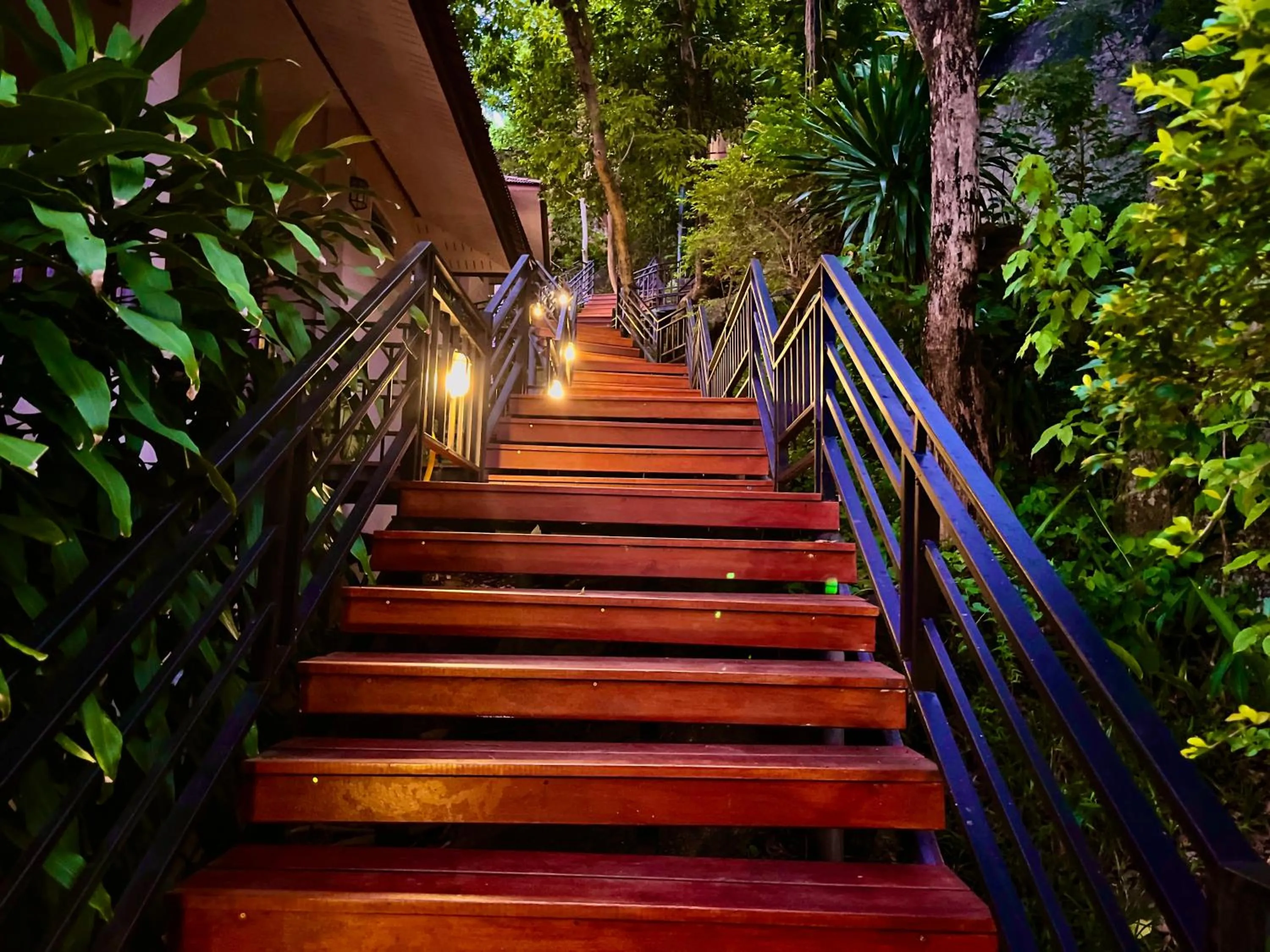 Night in PawPaw Resort