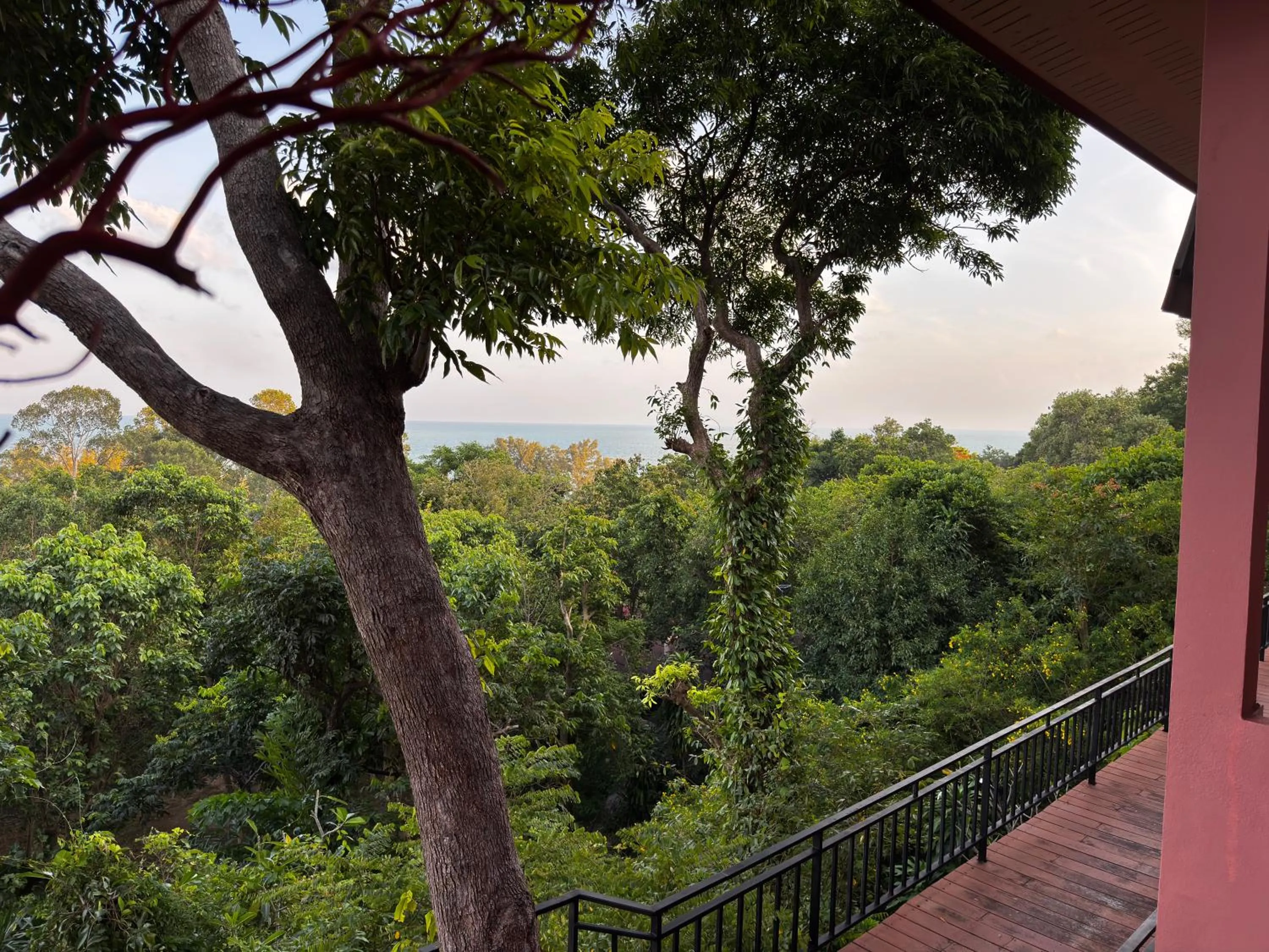 Sea view in PawPaw Resort