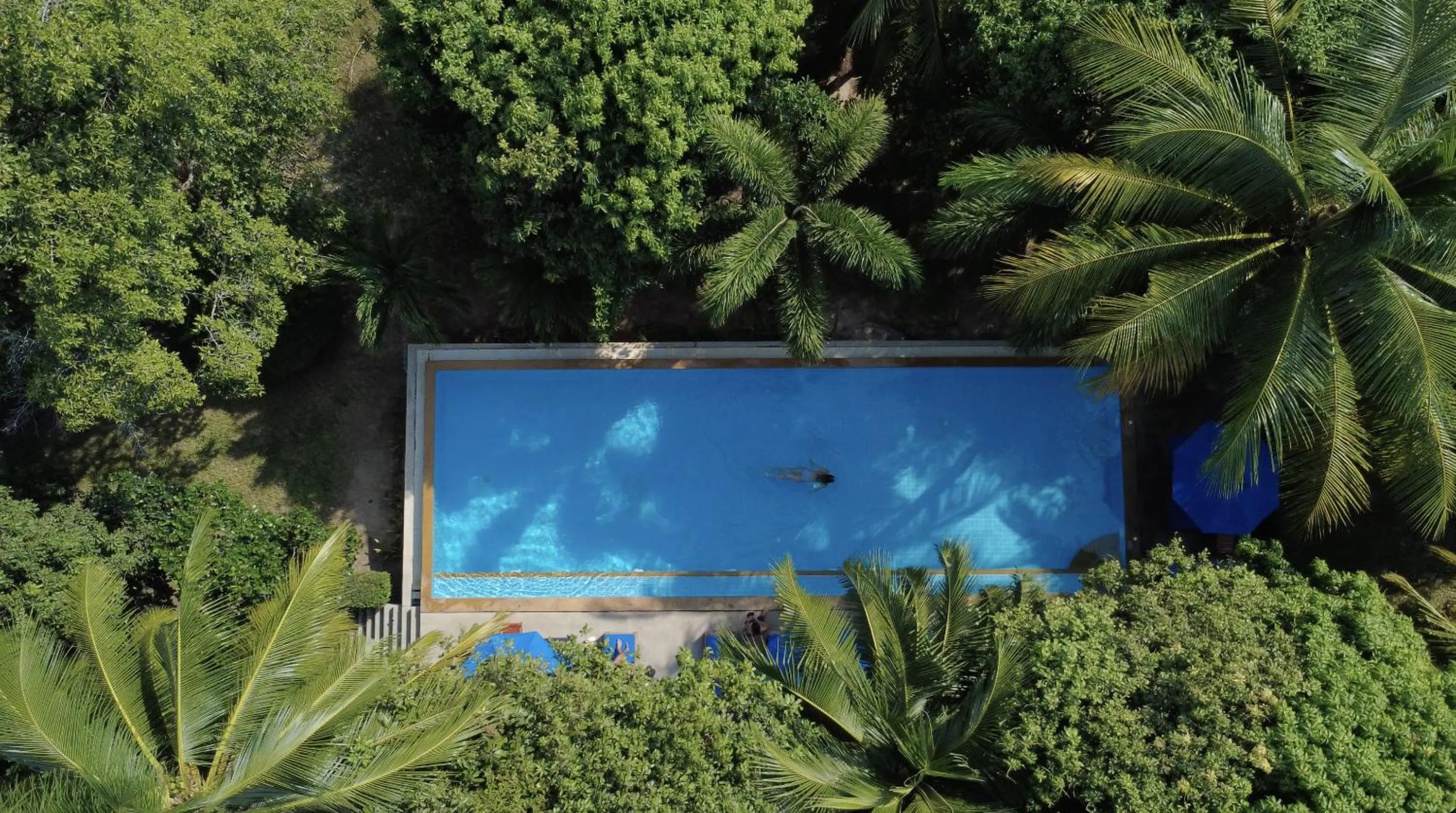 Swimming pool in PawPaw Resort