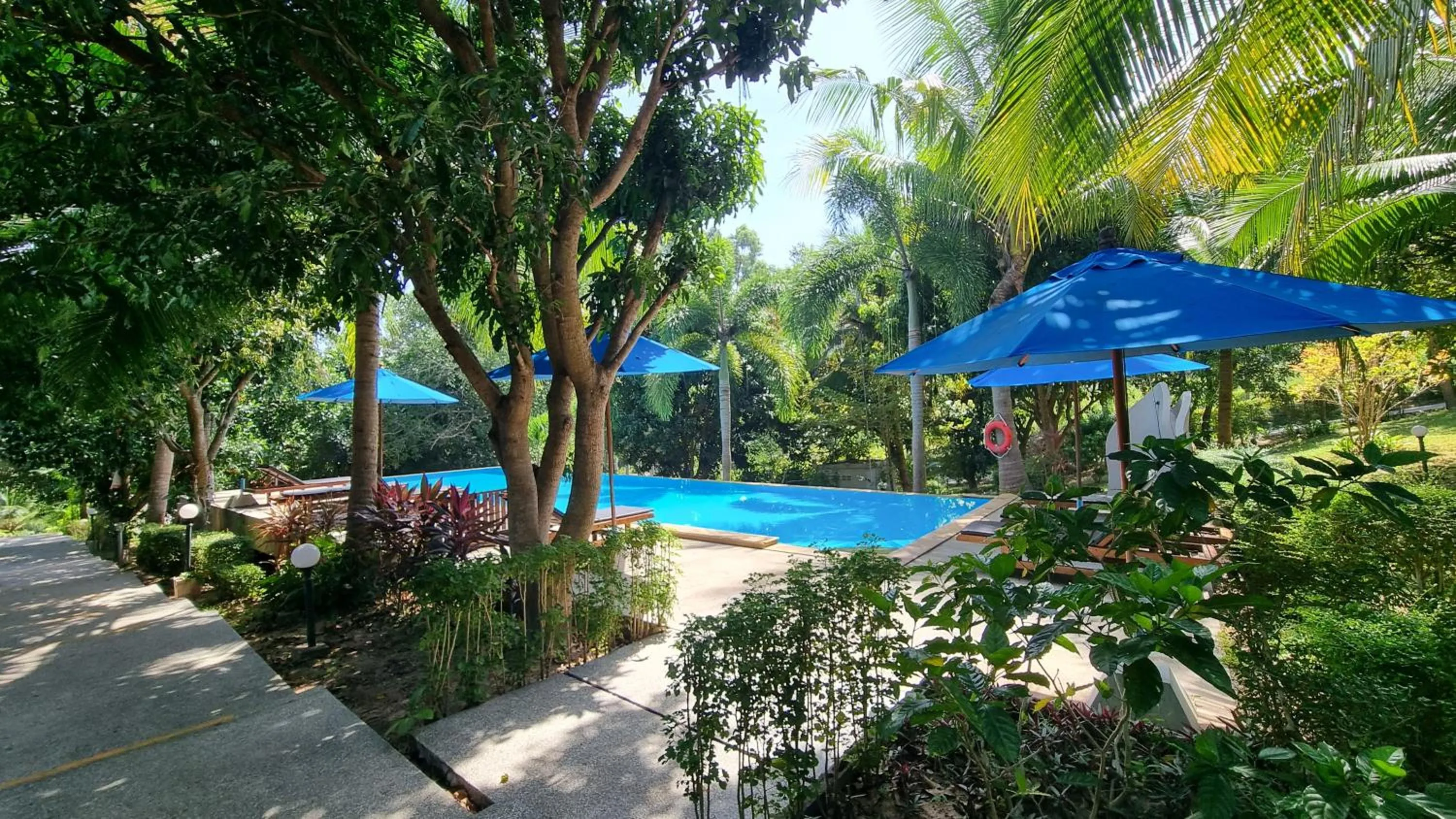 Garden in PawPaw Resort