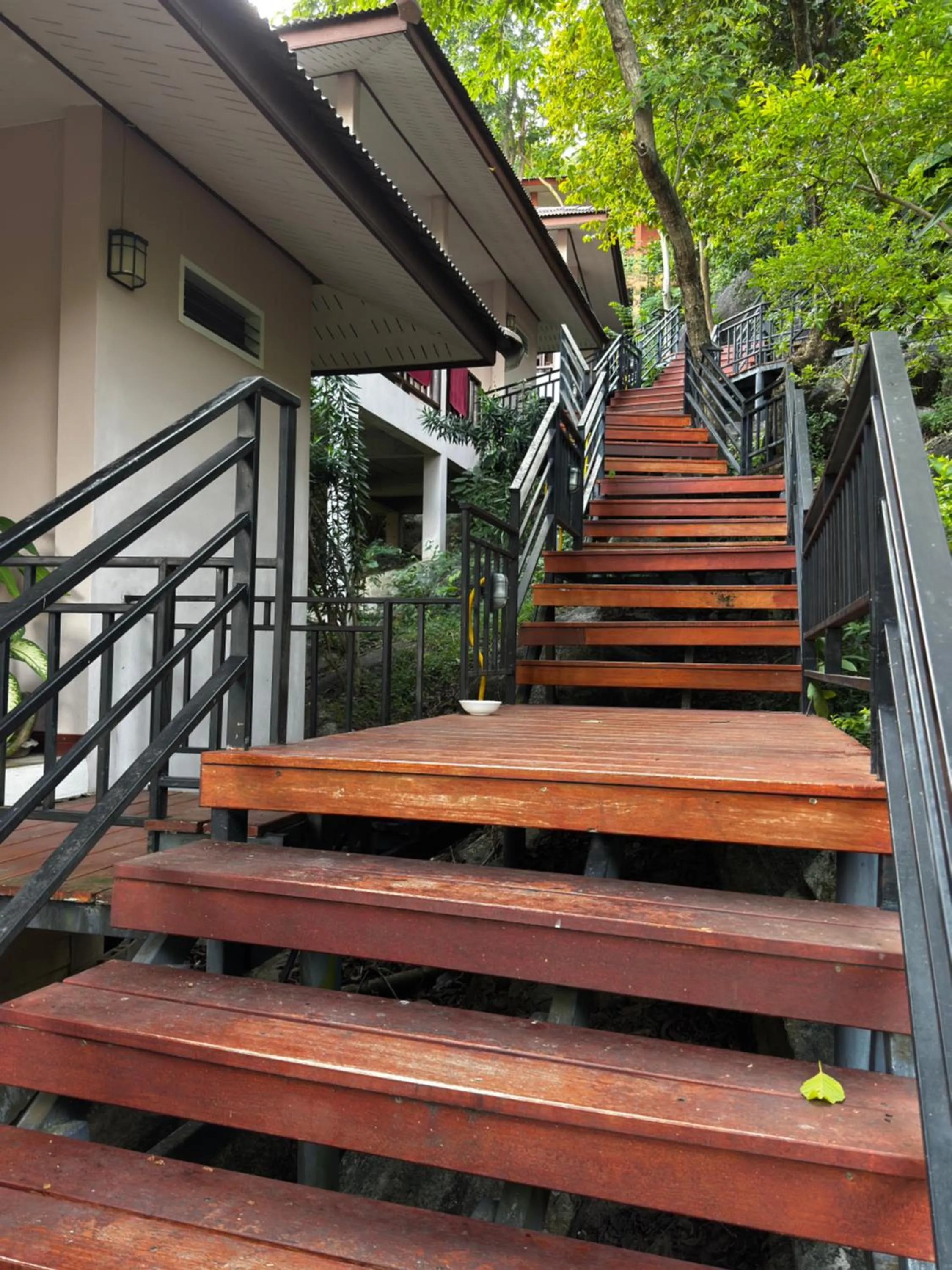 Property building in PawPaw Resort