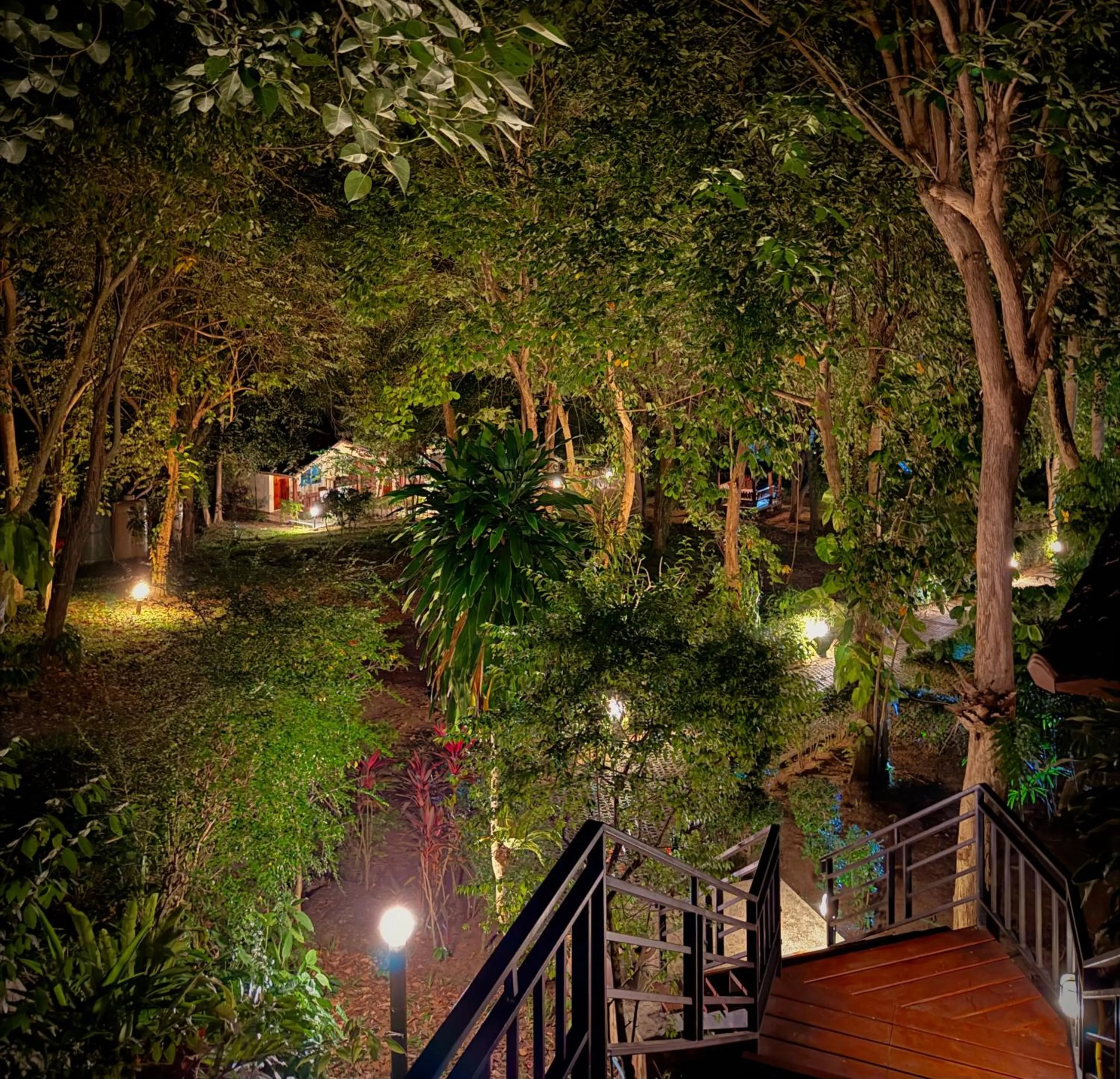 Property building in PawPaw Resort