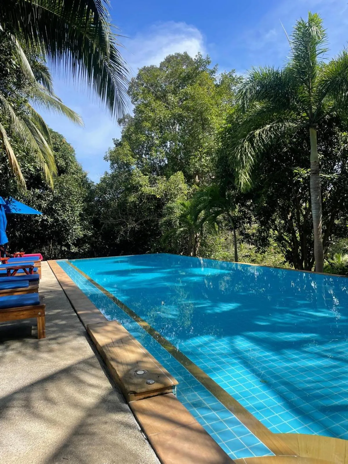 Swimming pool in PawPaw Resort