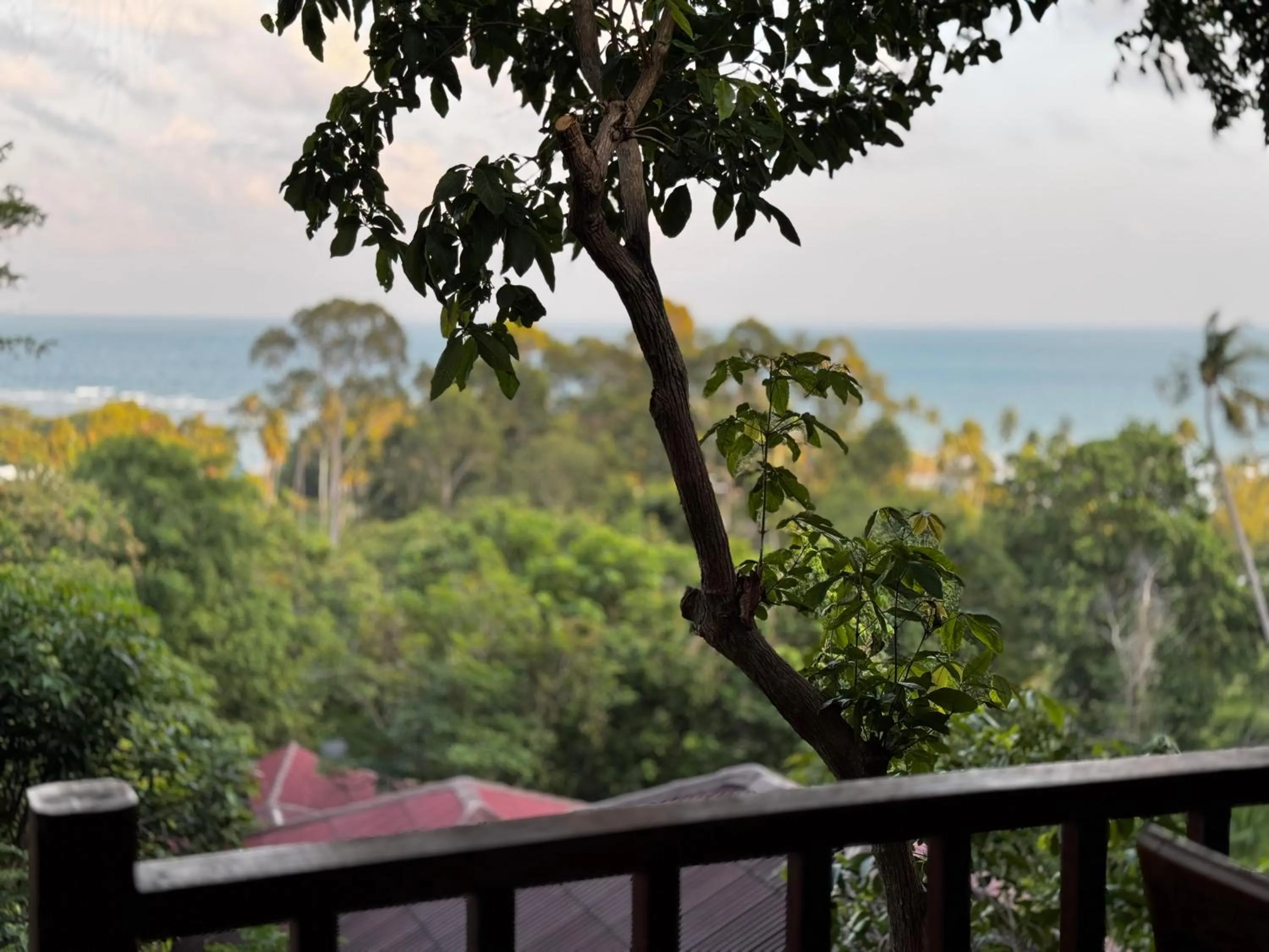 View (from property/room) in PawPaw Resort