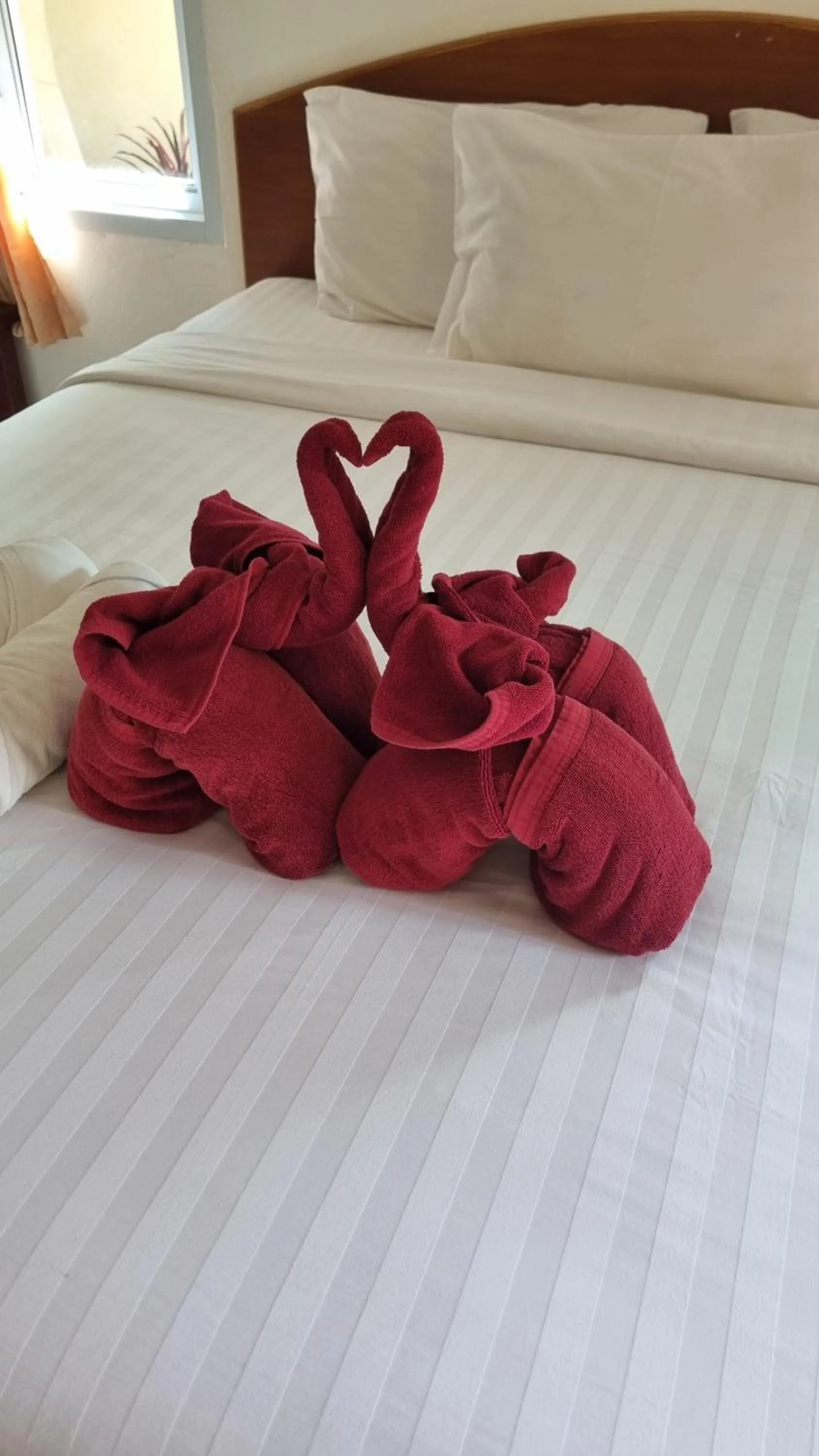 Bed in PawPaw Resort