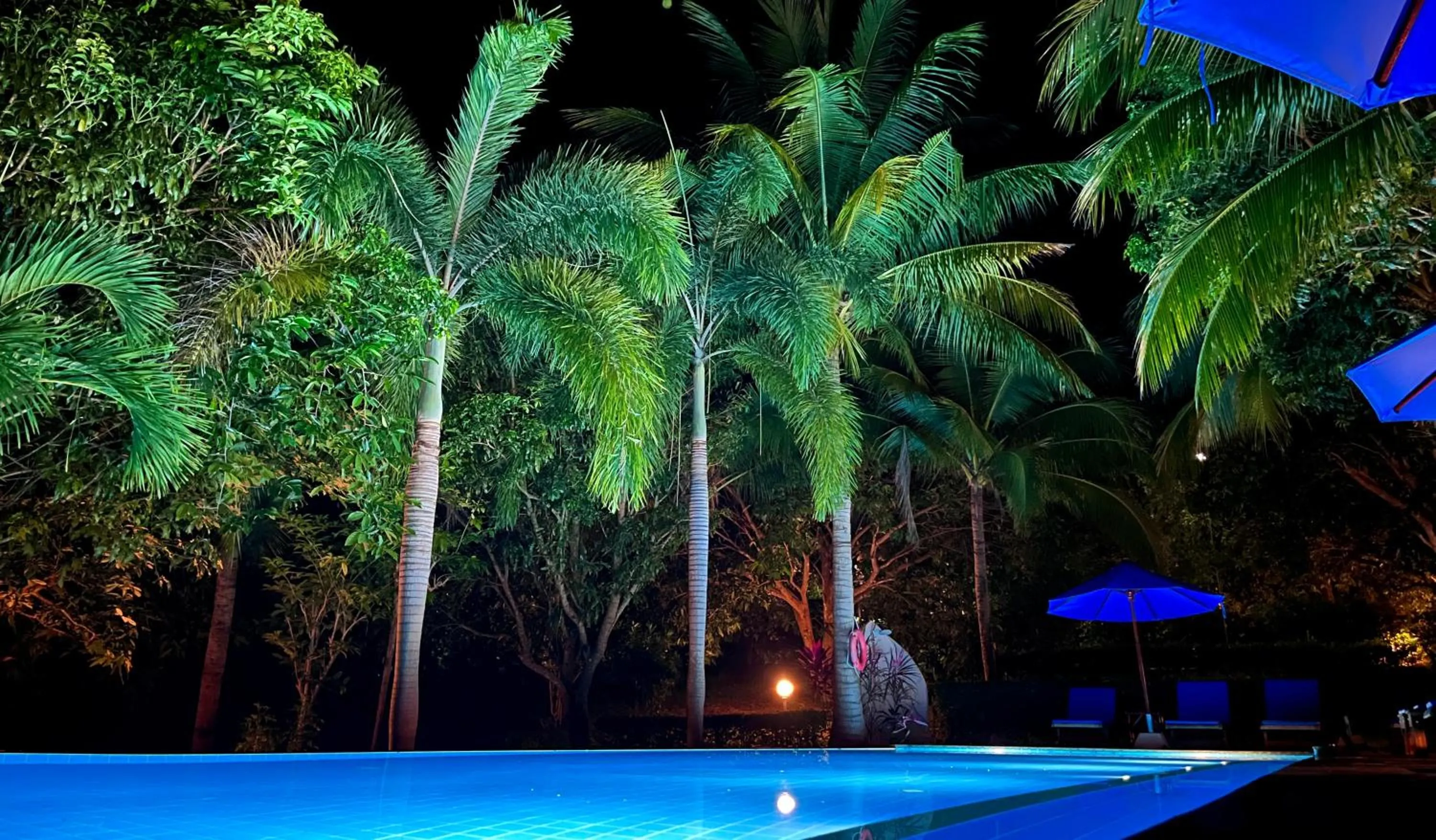 Night in PawPaw Resort