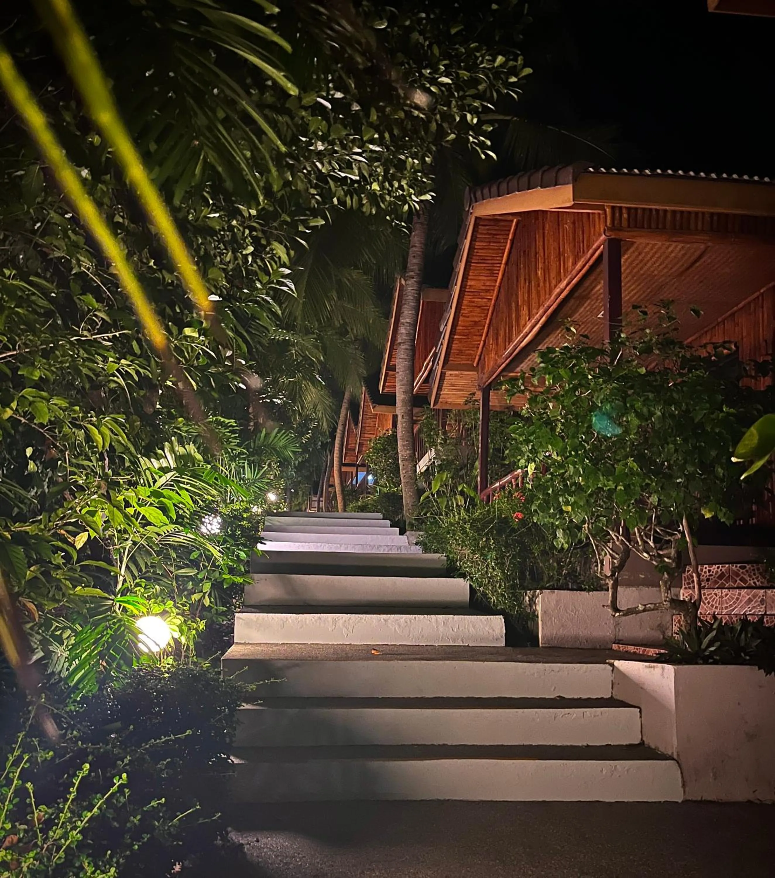 Night in PawPaw Resort