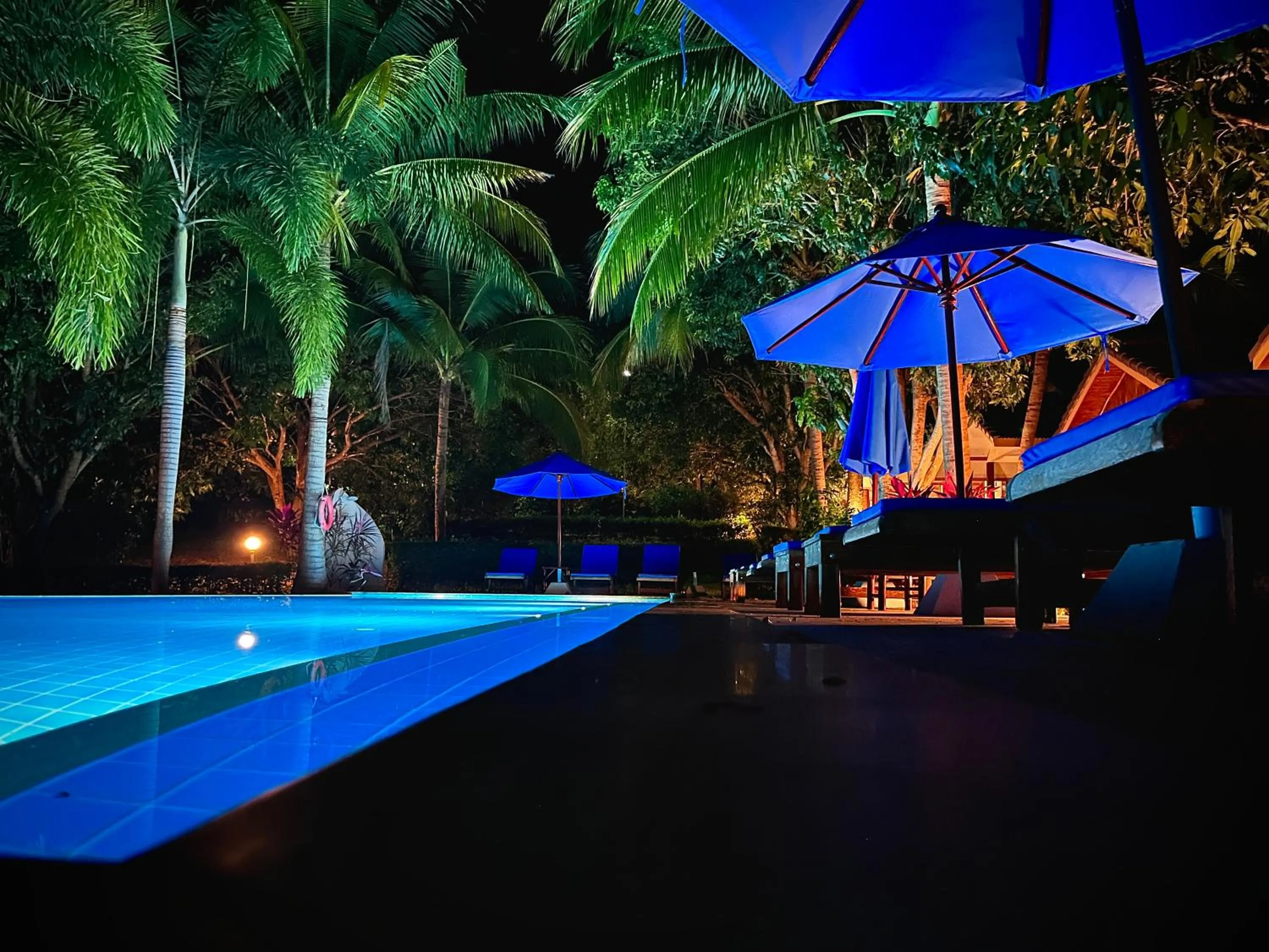 Swimming pool in PawPaw Resort