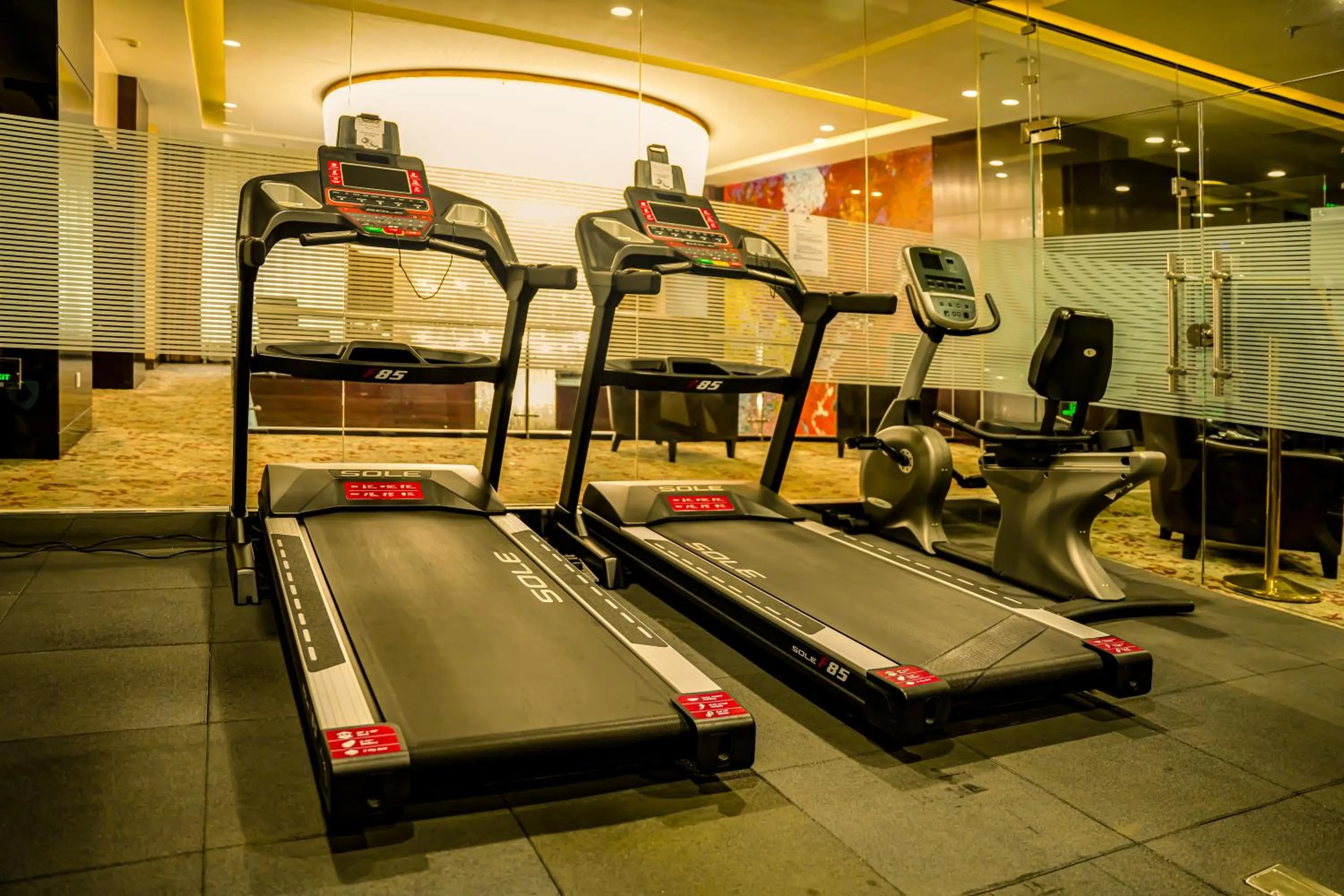 Fitness centre/facilities in Best Western Premier Tuushin Hotel