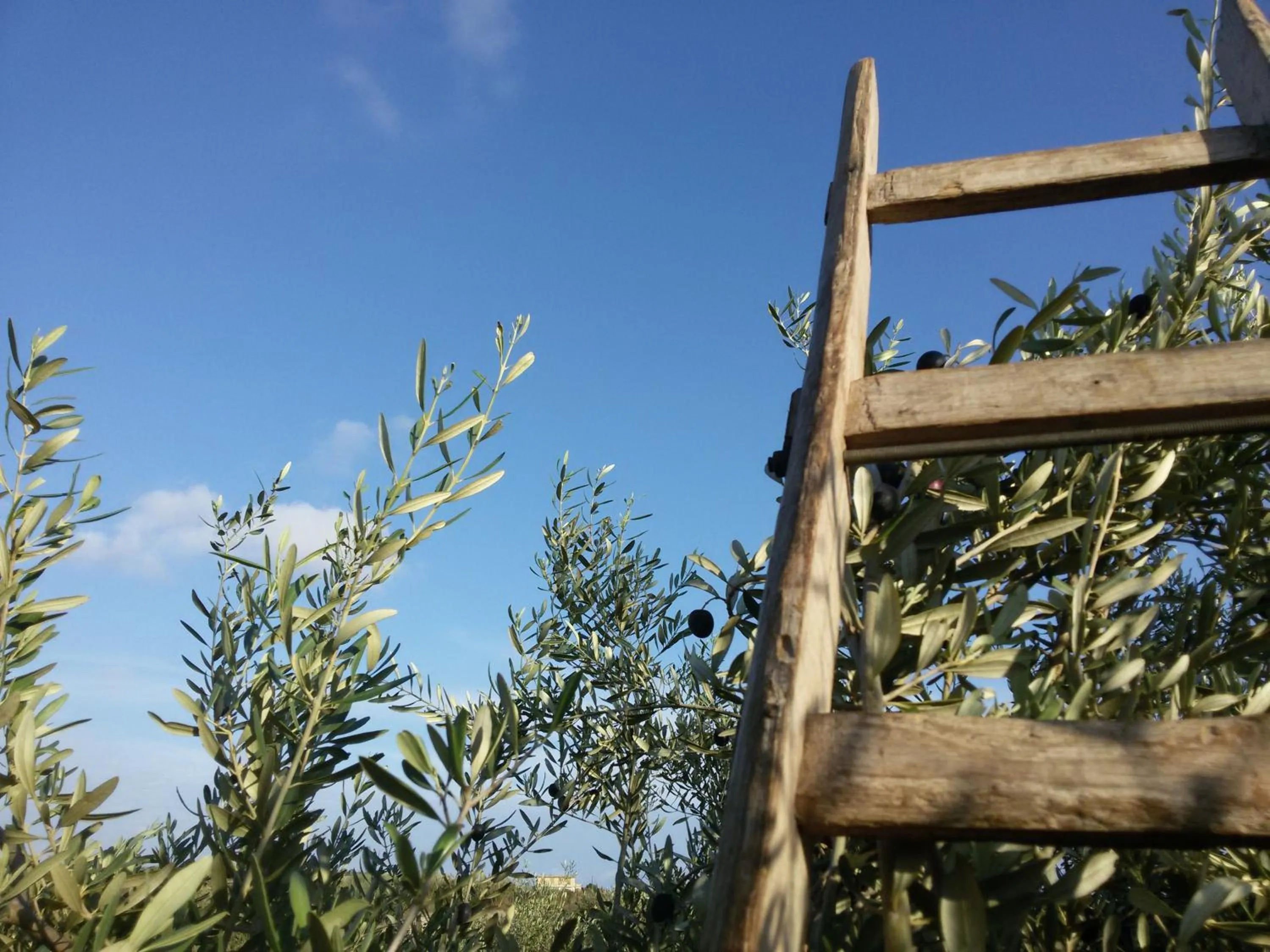 Day in Cambiocavallo Resort