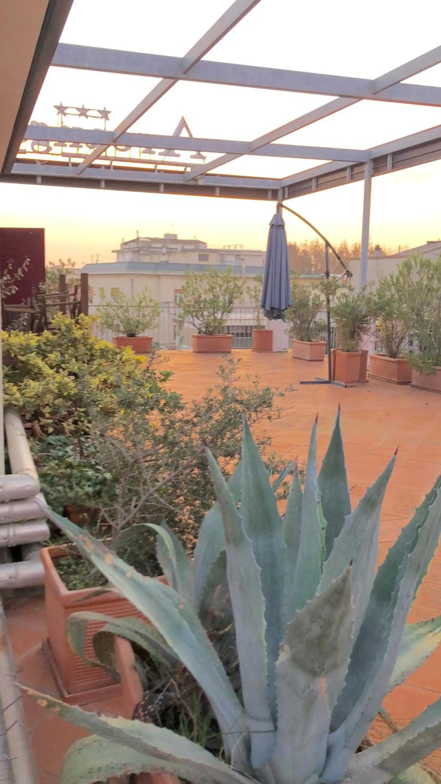 Garden in Arcangelo Roof Hotel