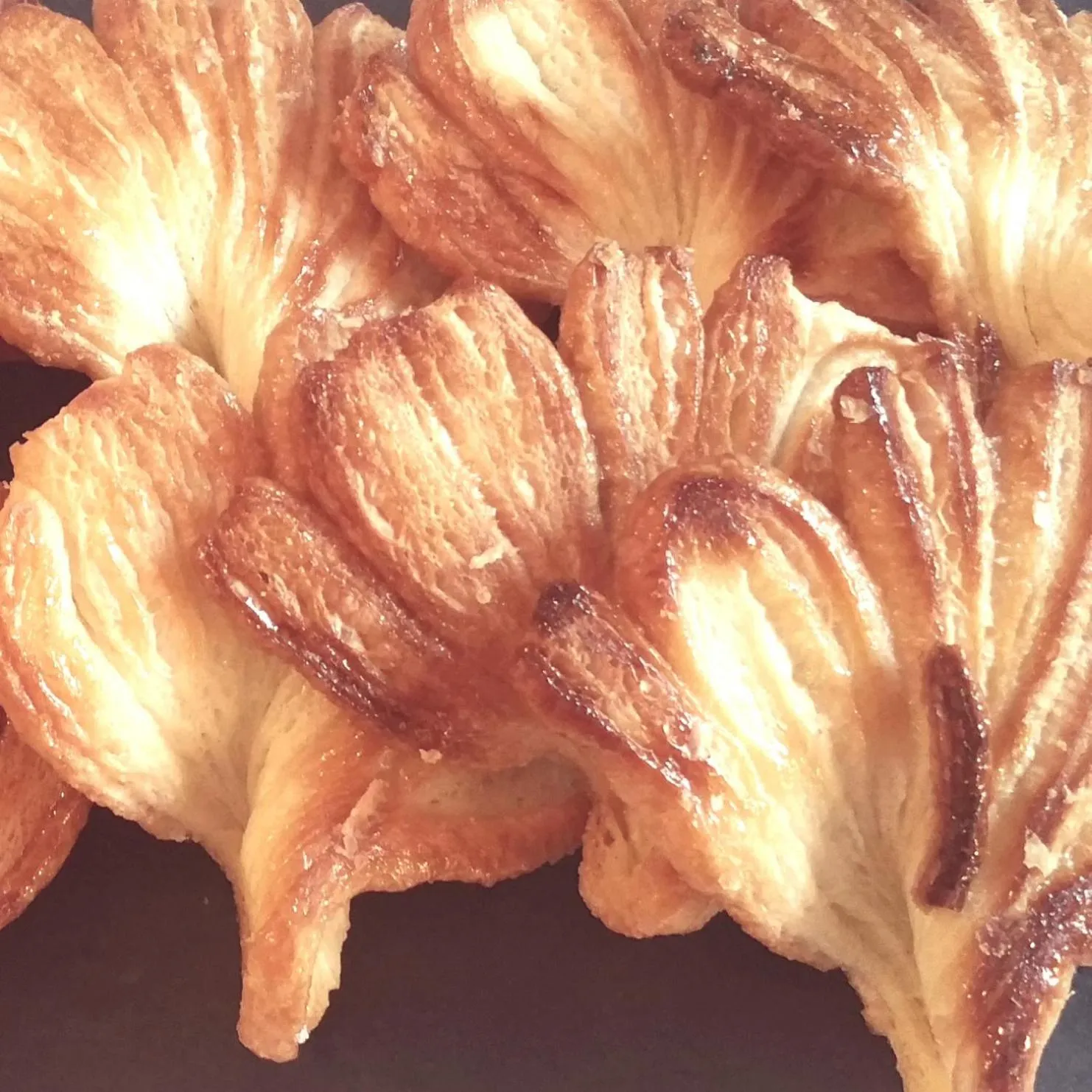 Food and drinks in Hotel Bigio