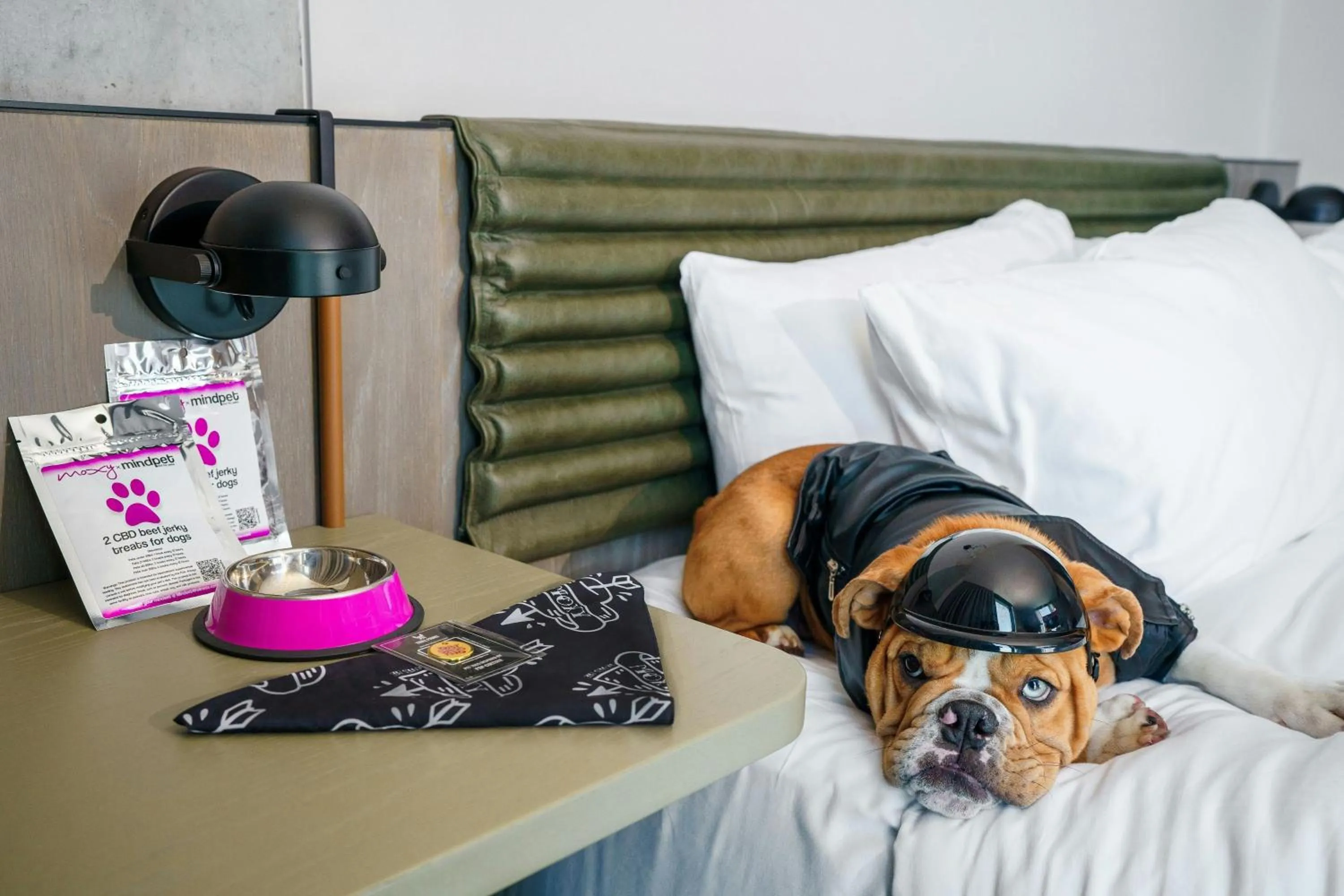 Other, Bed in Moxy Downtown Los Angeles